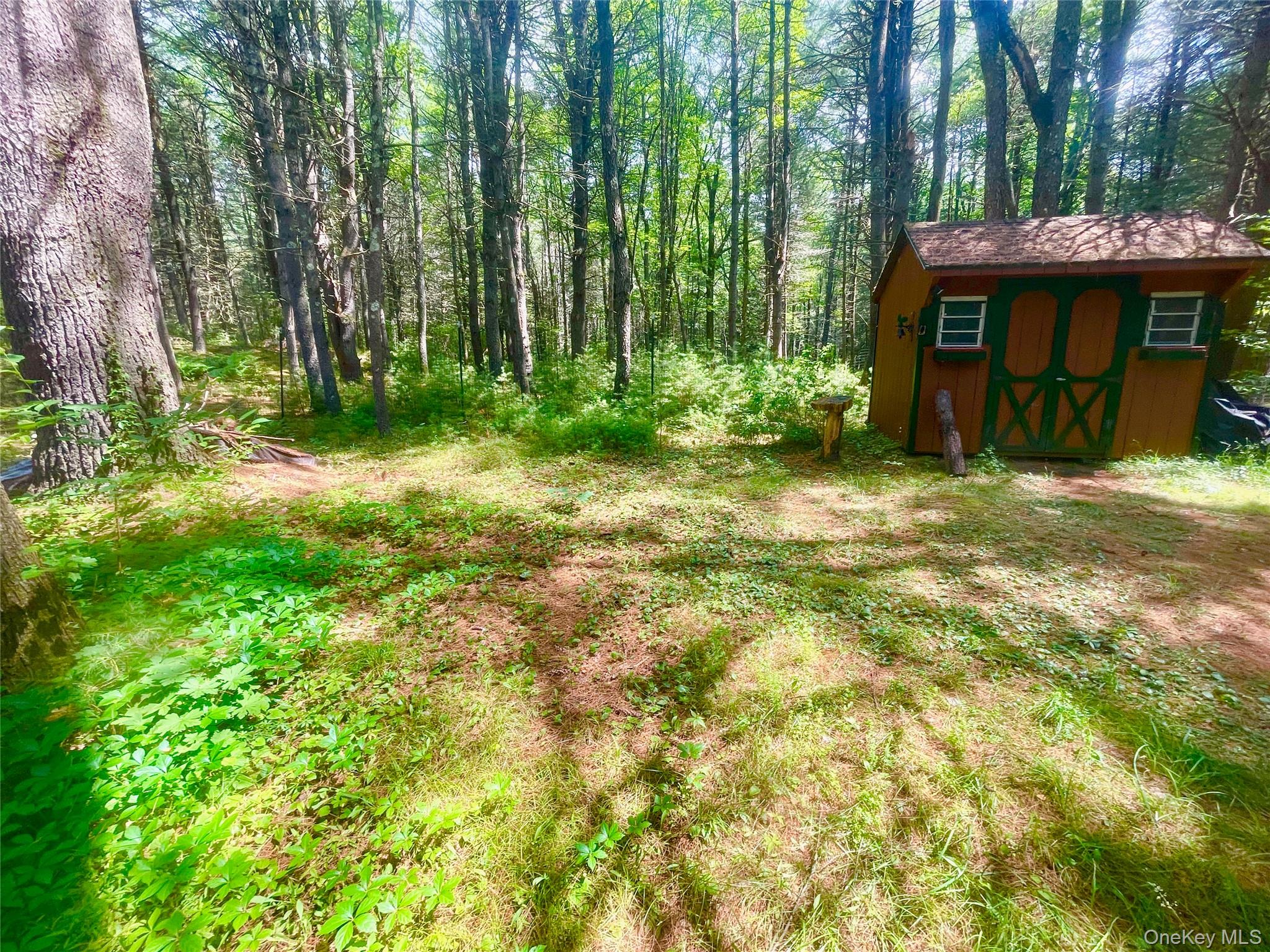 111 Deer Meadow Road, Bethel, NY 12720