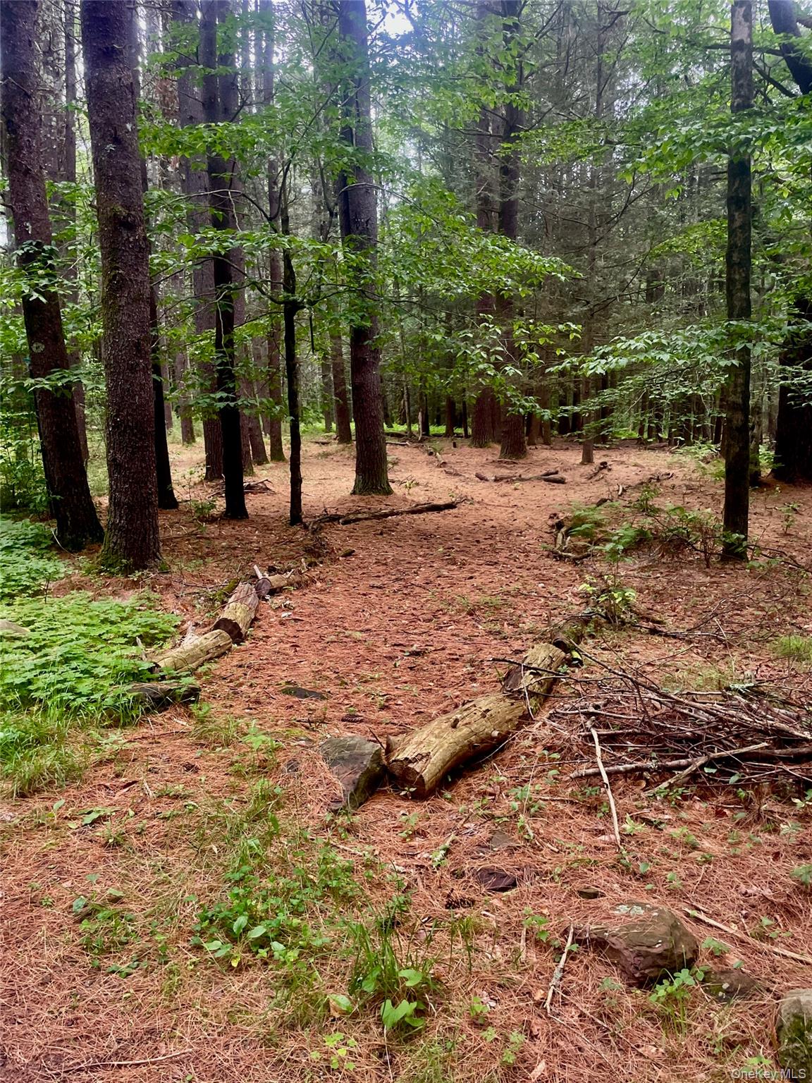 111 Deer Meadow Road, Bethel, NY 12720