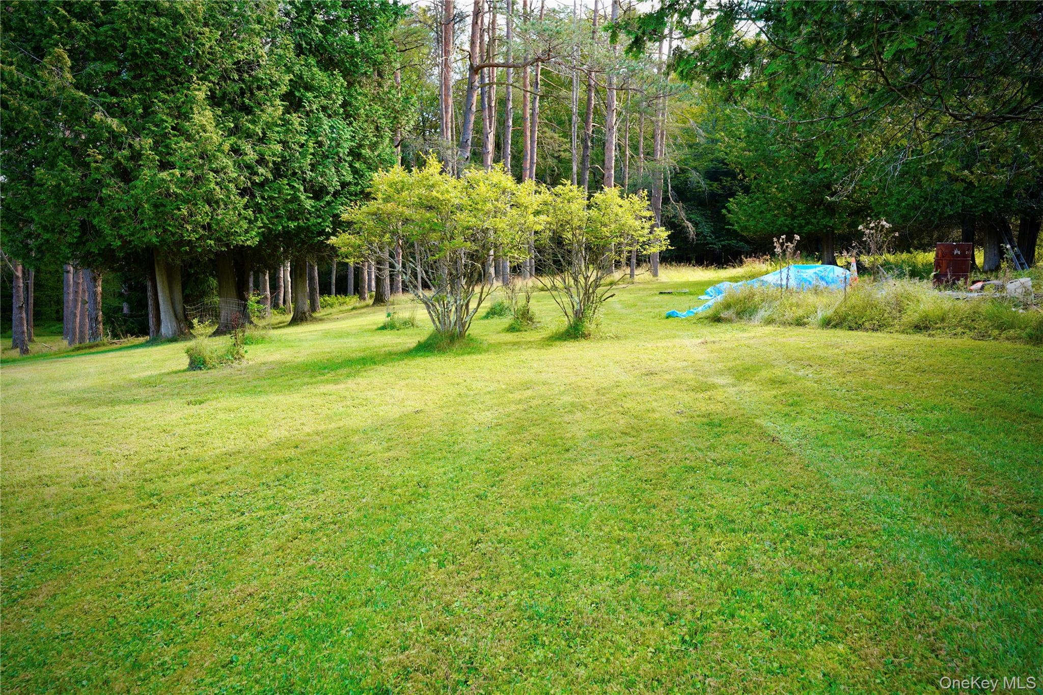 669 Shandelee Road, Livingston Manor, NY 12758