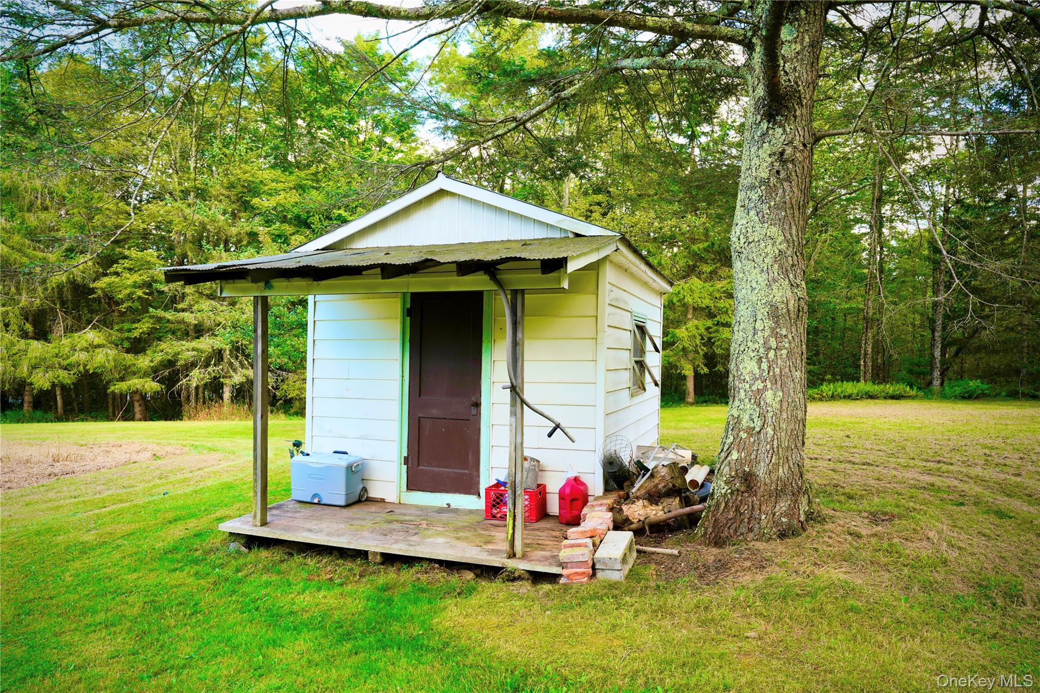 669 Shandelee Road, Livingston Manor, NY 12758