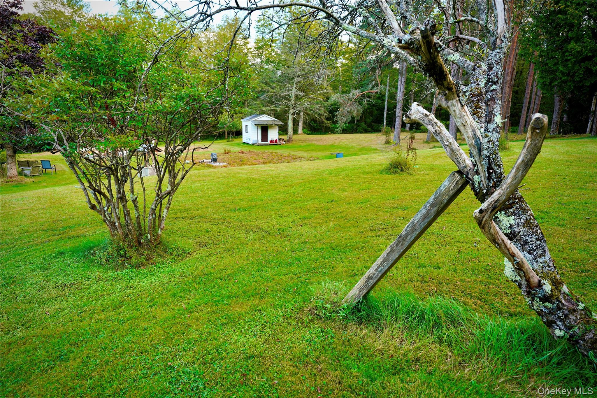 669 Shandelee Road, Livingston Manor, NY 12758