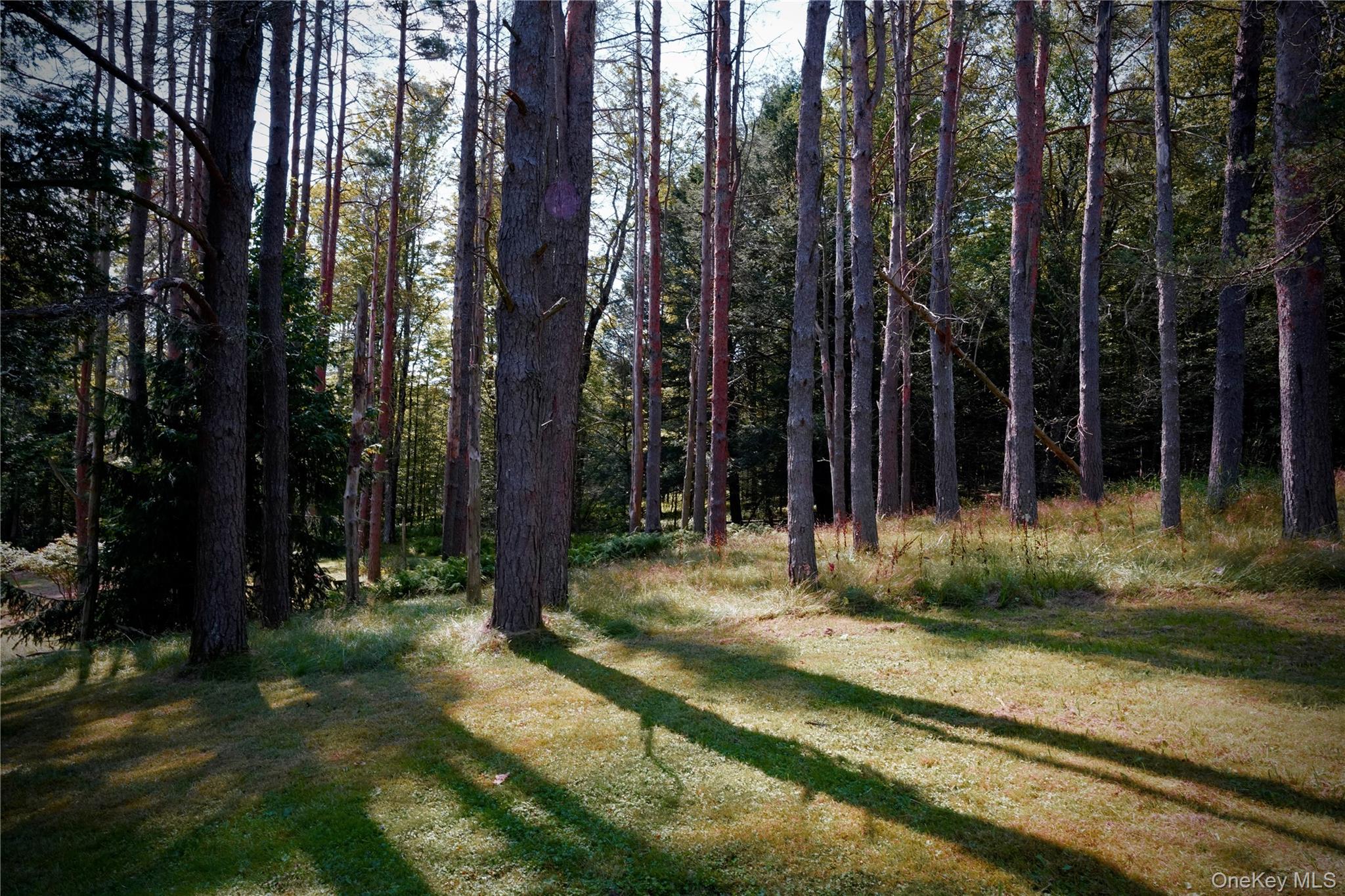 669 Shandelee Road, Livingston Manor, NY 12758