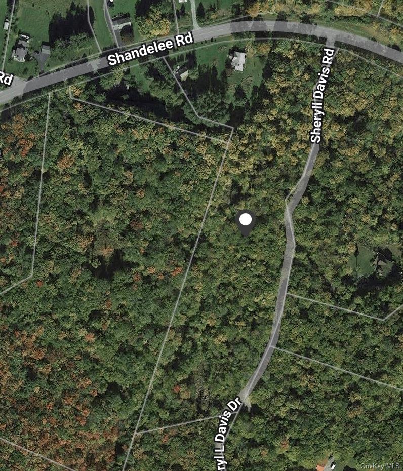 669 Shandelee Road, Livingston Manor, NY 12758