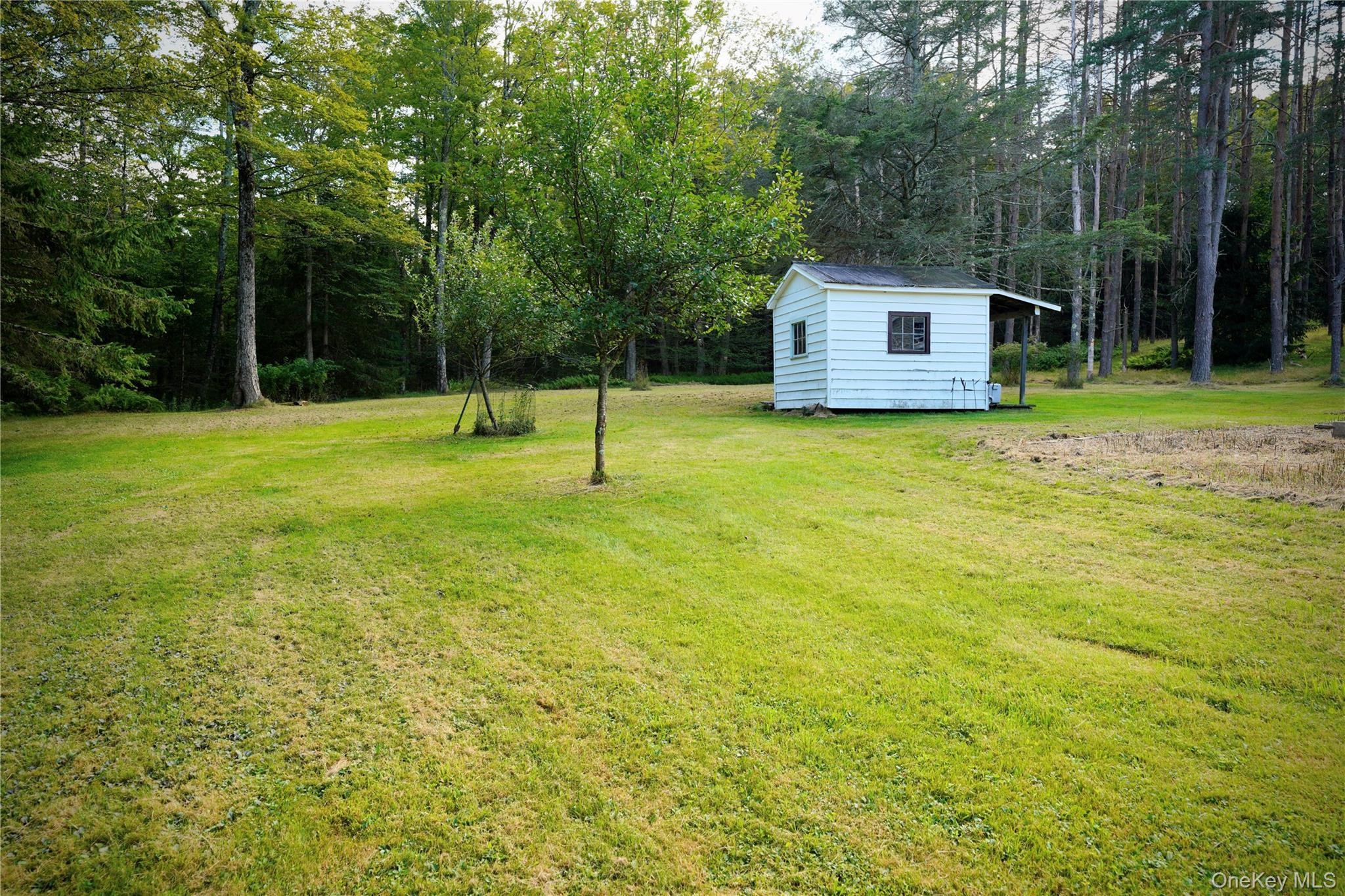 669 Shandelee Road, Livingston Manor, NY 12758