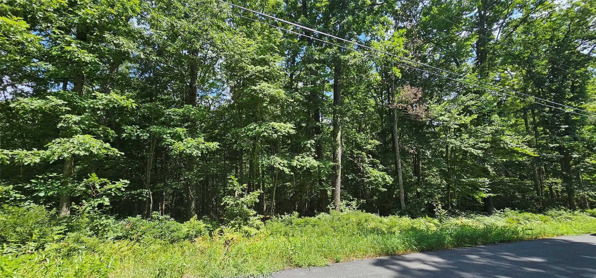Lot 23.23 Perry Pond Road, Narrowsburg, NY 12764