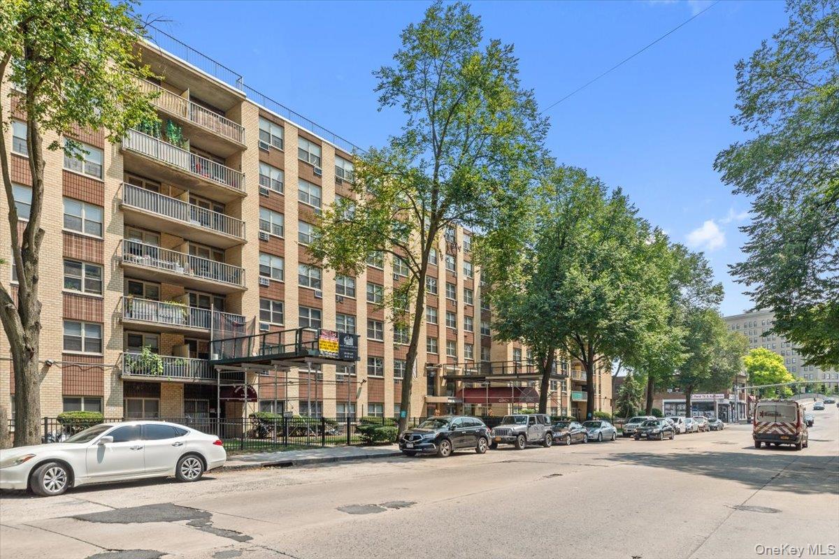 11 Park Avenue # 3X, Mount Vernon, NY 10550