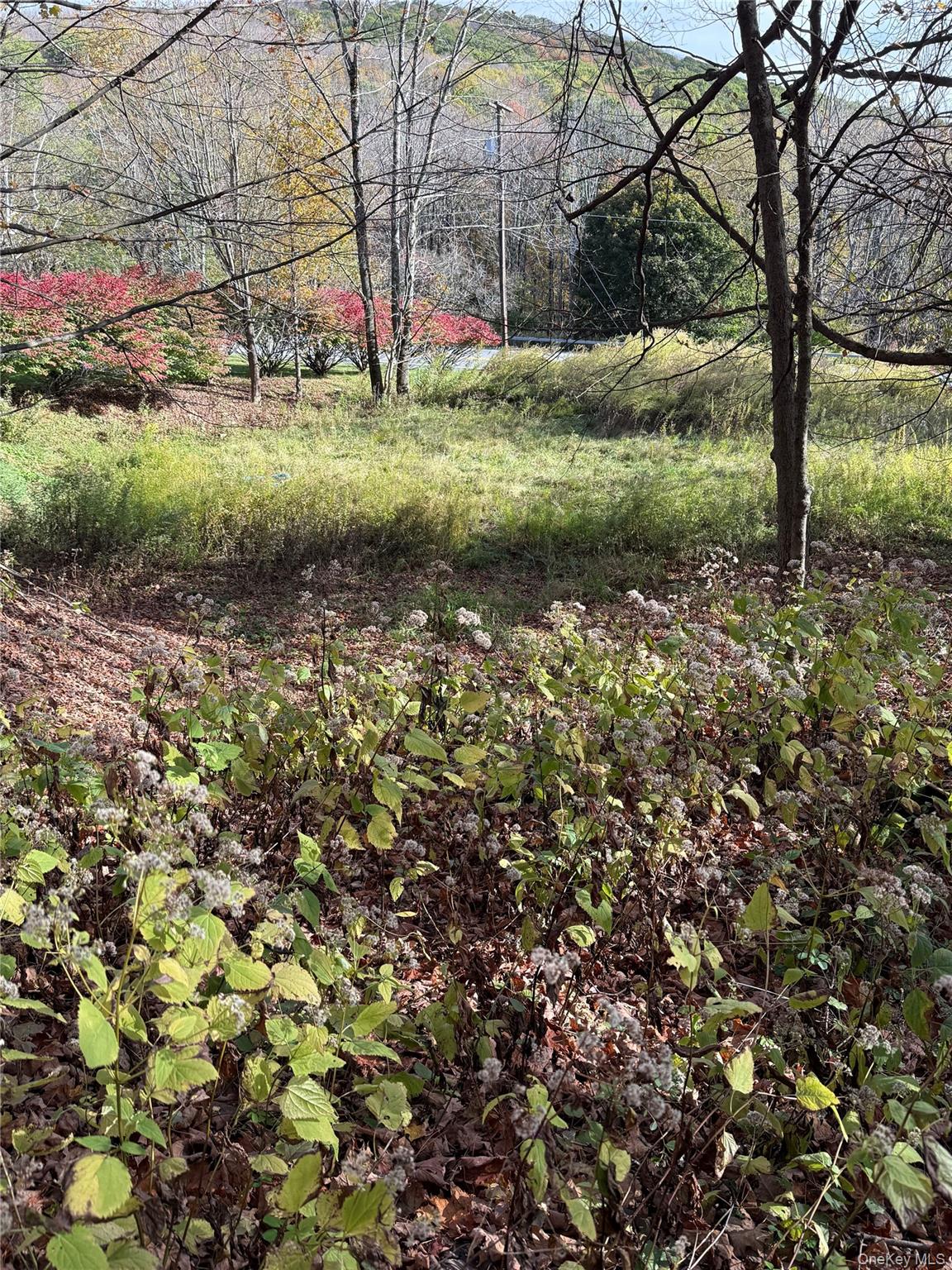 2714 State Route 52, Liberty, NY 12754