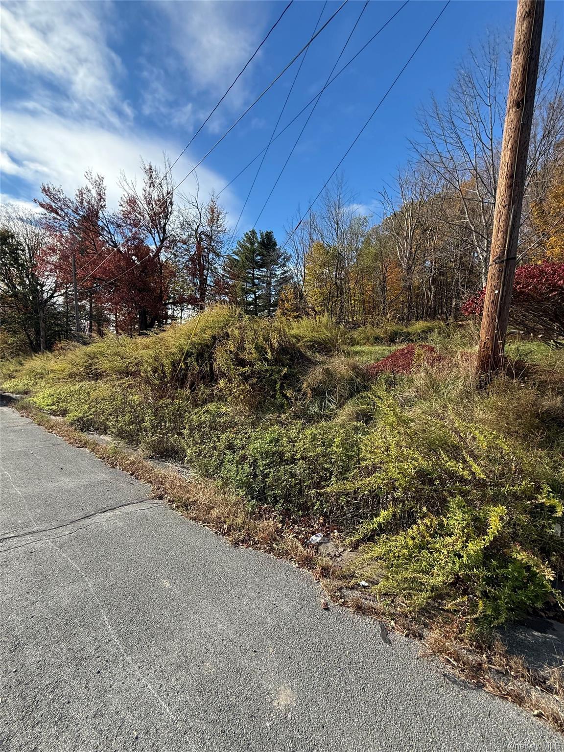 2714 State Route 52, Liberty, NY 12754