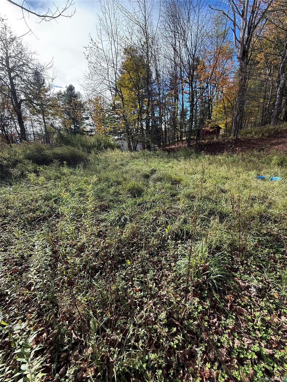 2714 State Route 52, Liberty, NY 12754