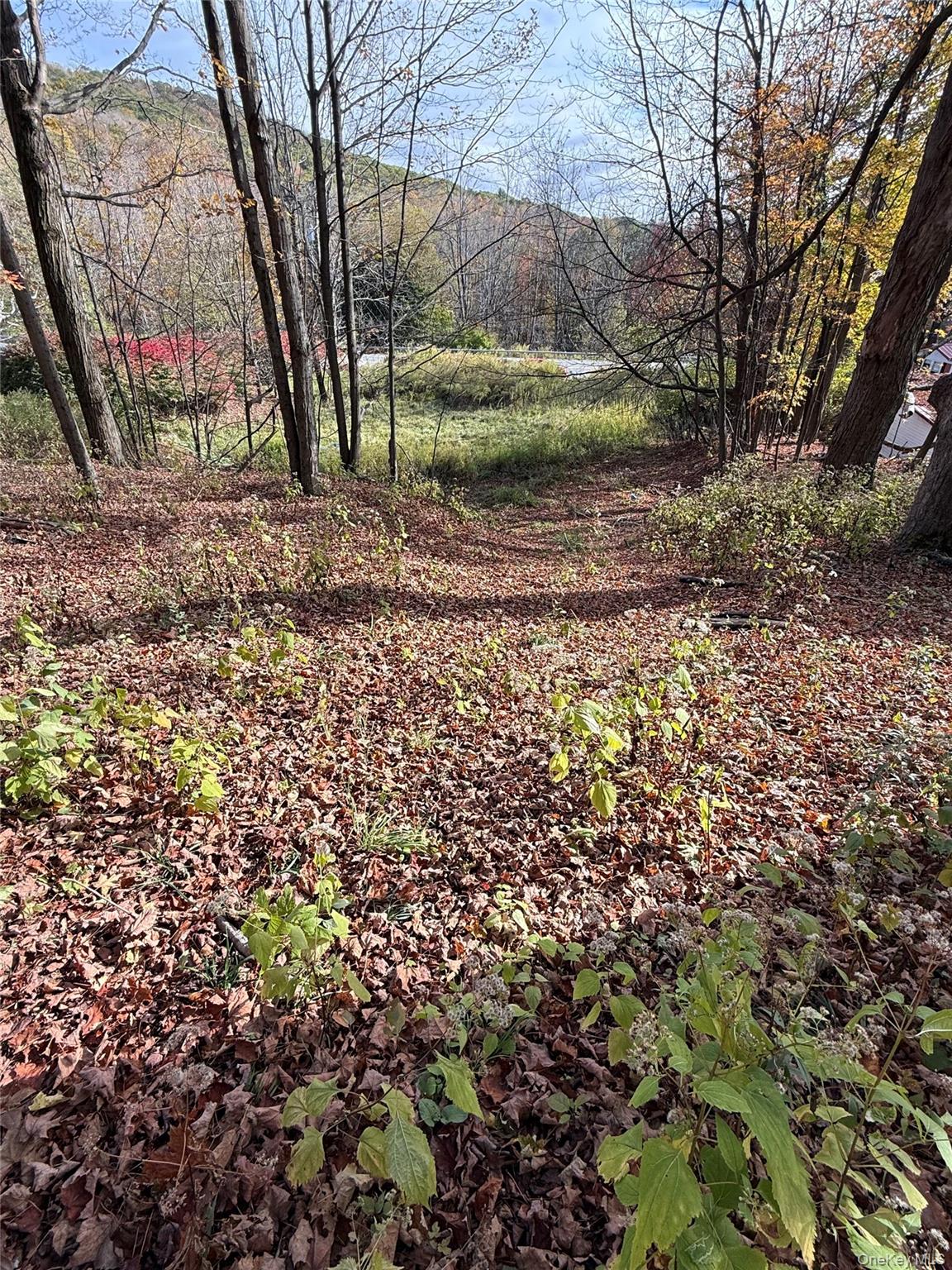 2714 State Route 52, Liberty, NY 12754