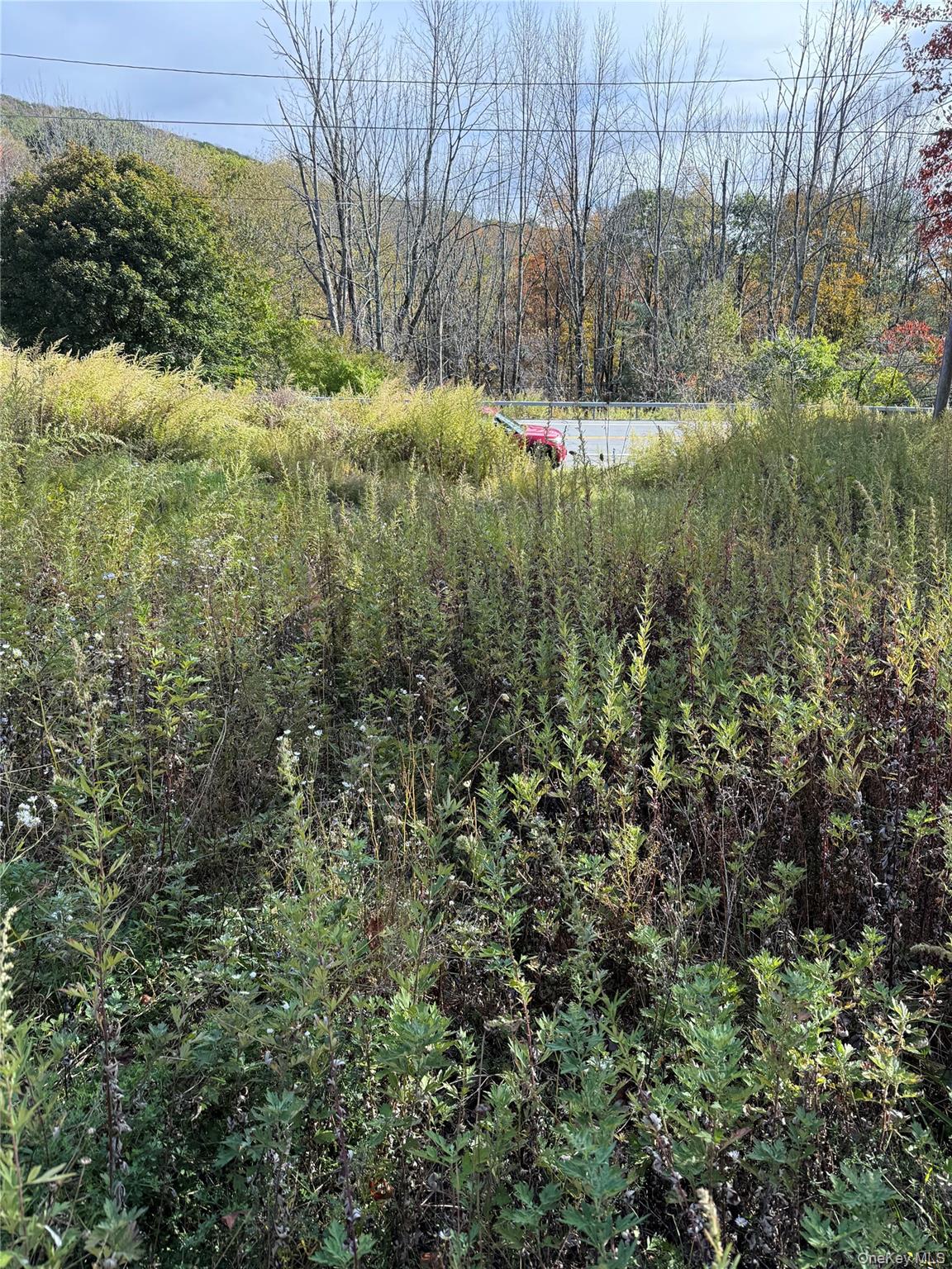 2714 State Route 52, Liberty, NY 12754