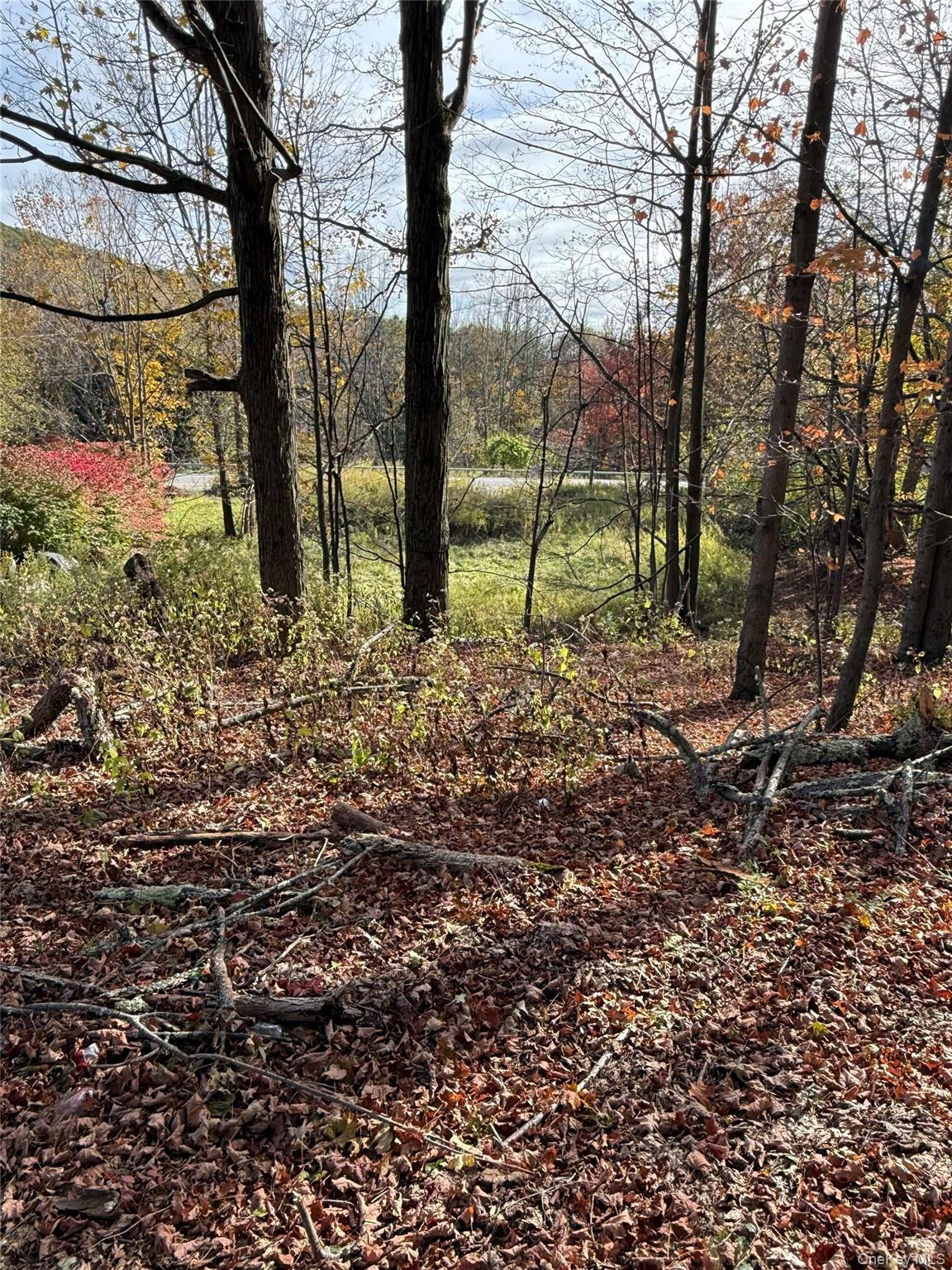 2714 State Route 52, Liberty, NY 12754