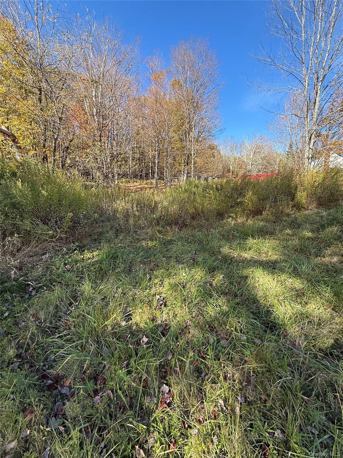 2714 State Route 52, Liberty, NY 12754