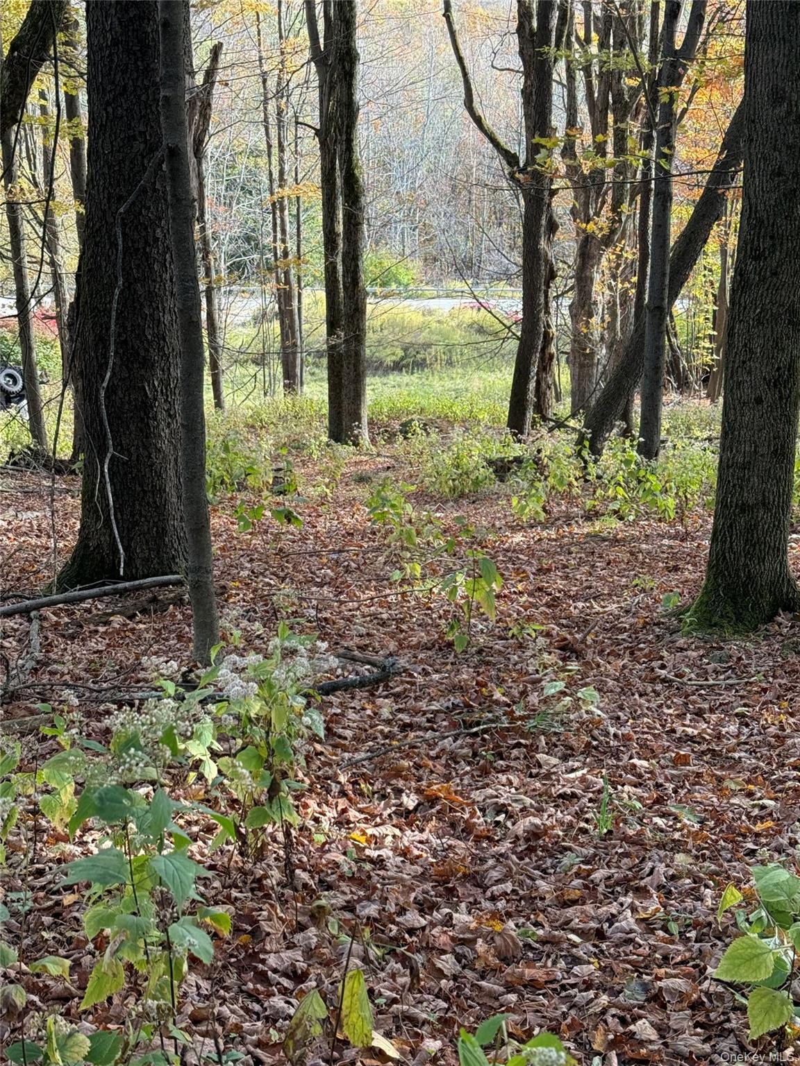 2714 State Route 52, Liberty, NY 12754