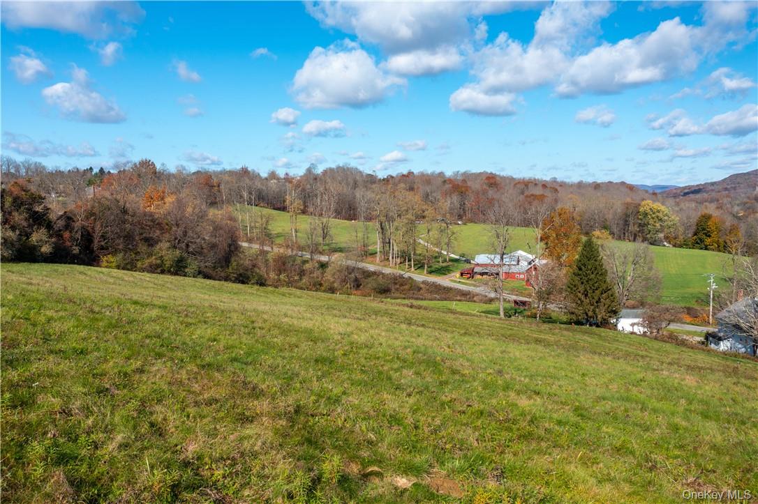 Cricket Hill Road, Wingdale, NY 12594