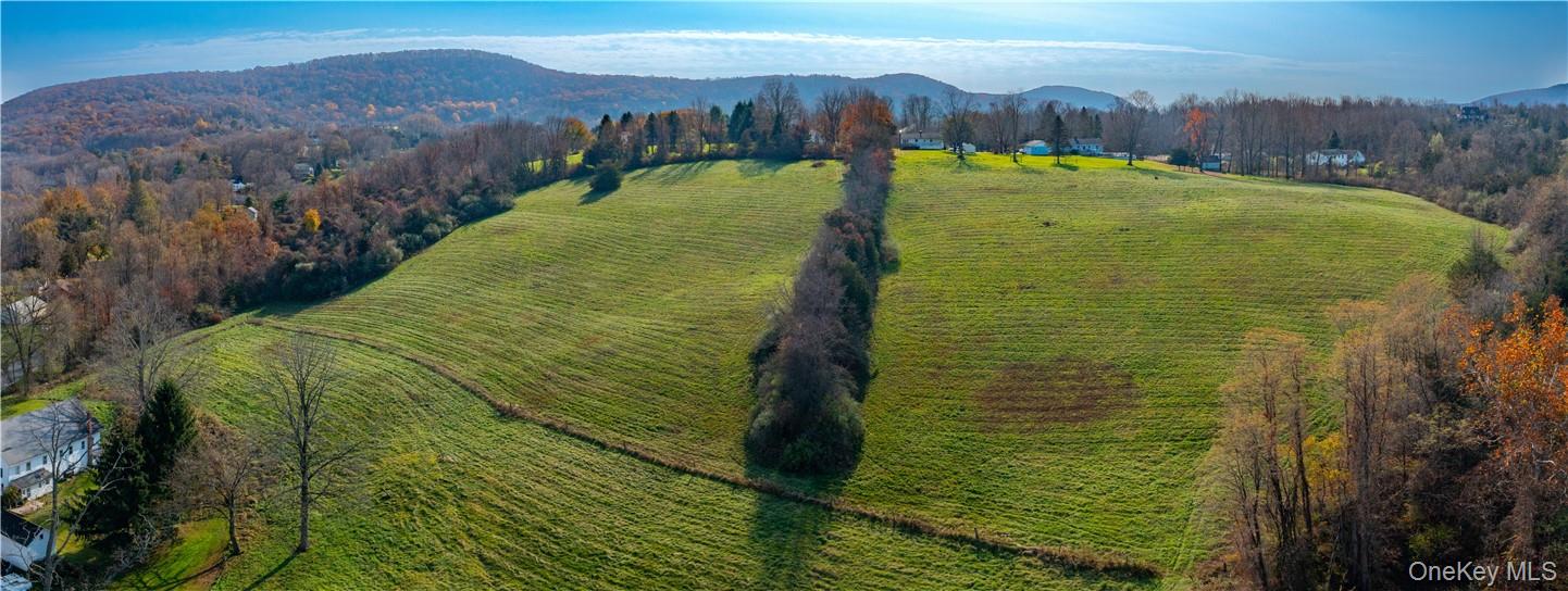 Cricket Hill Road, Wingdale, NY 12594