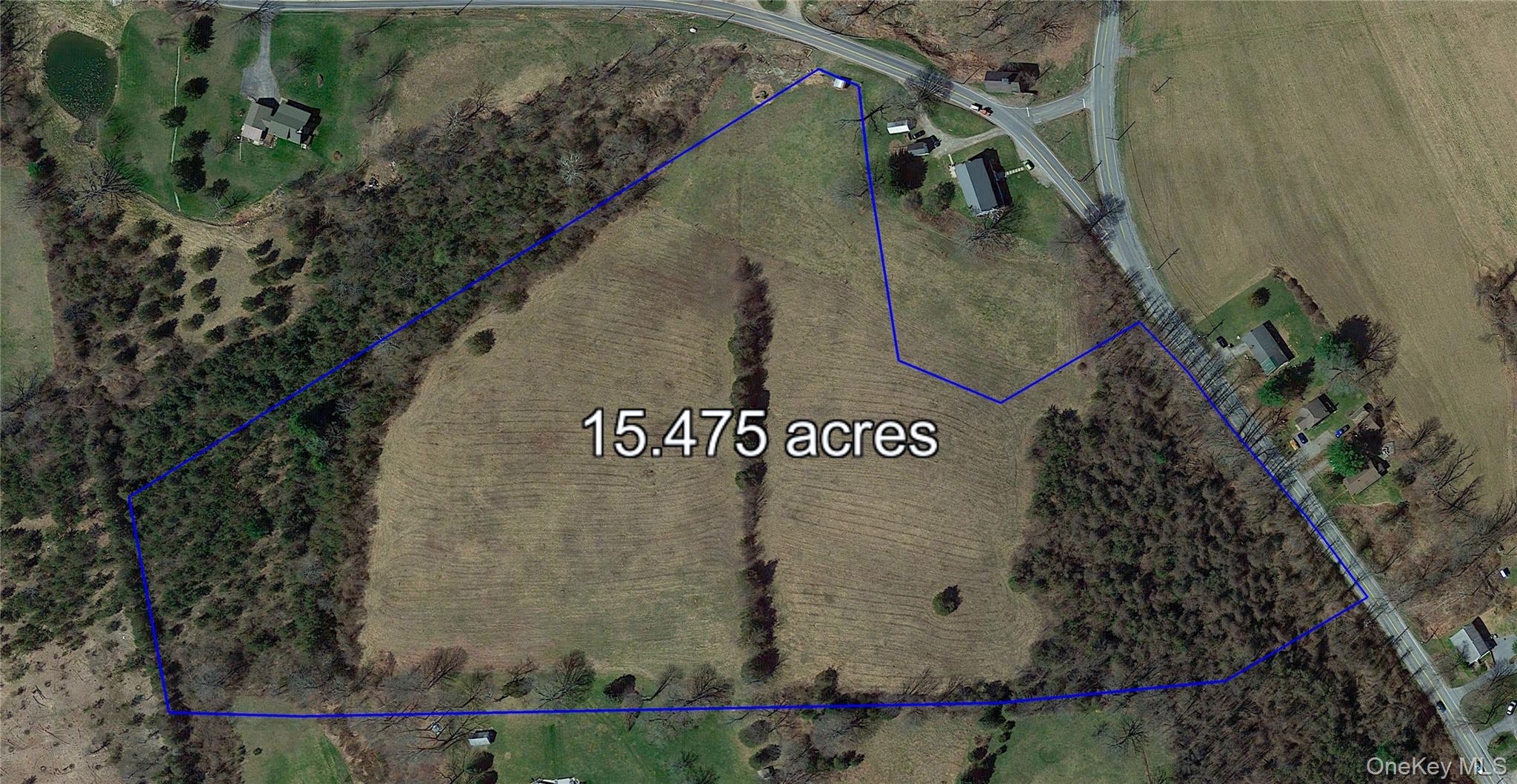 Cricket Hill Road, Wingdale, NY 12594