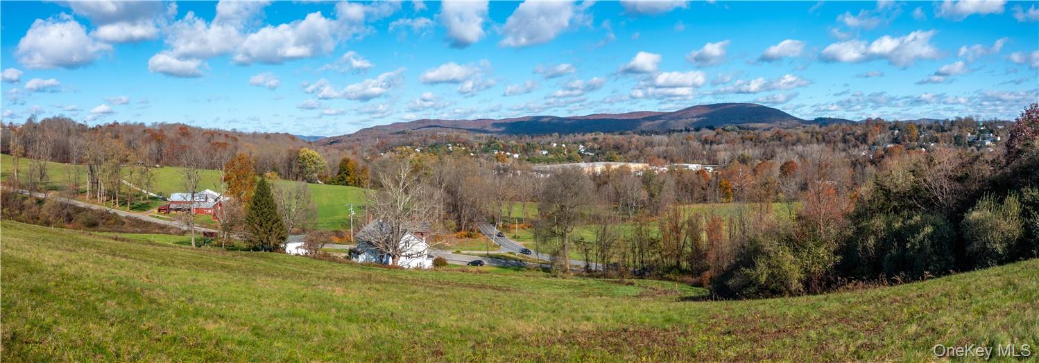 Cricket Hill Road, Wingdale, NY 12594