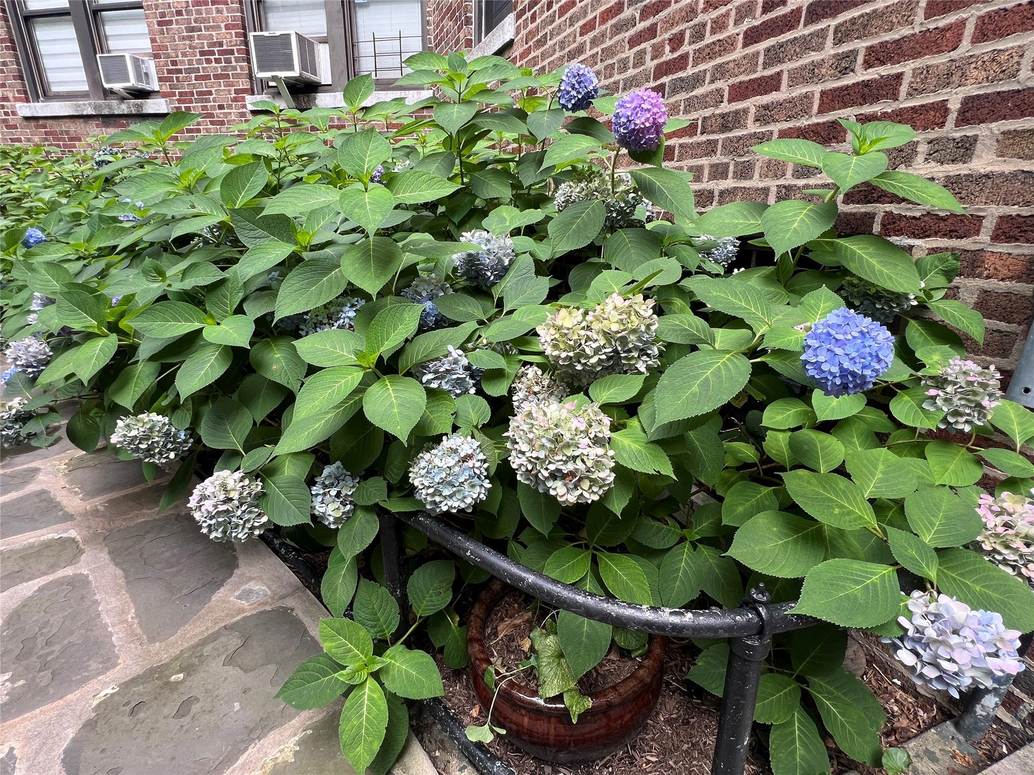 3392 Wayne Avenue # F42, Bronx, NY 10467