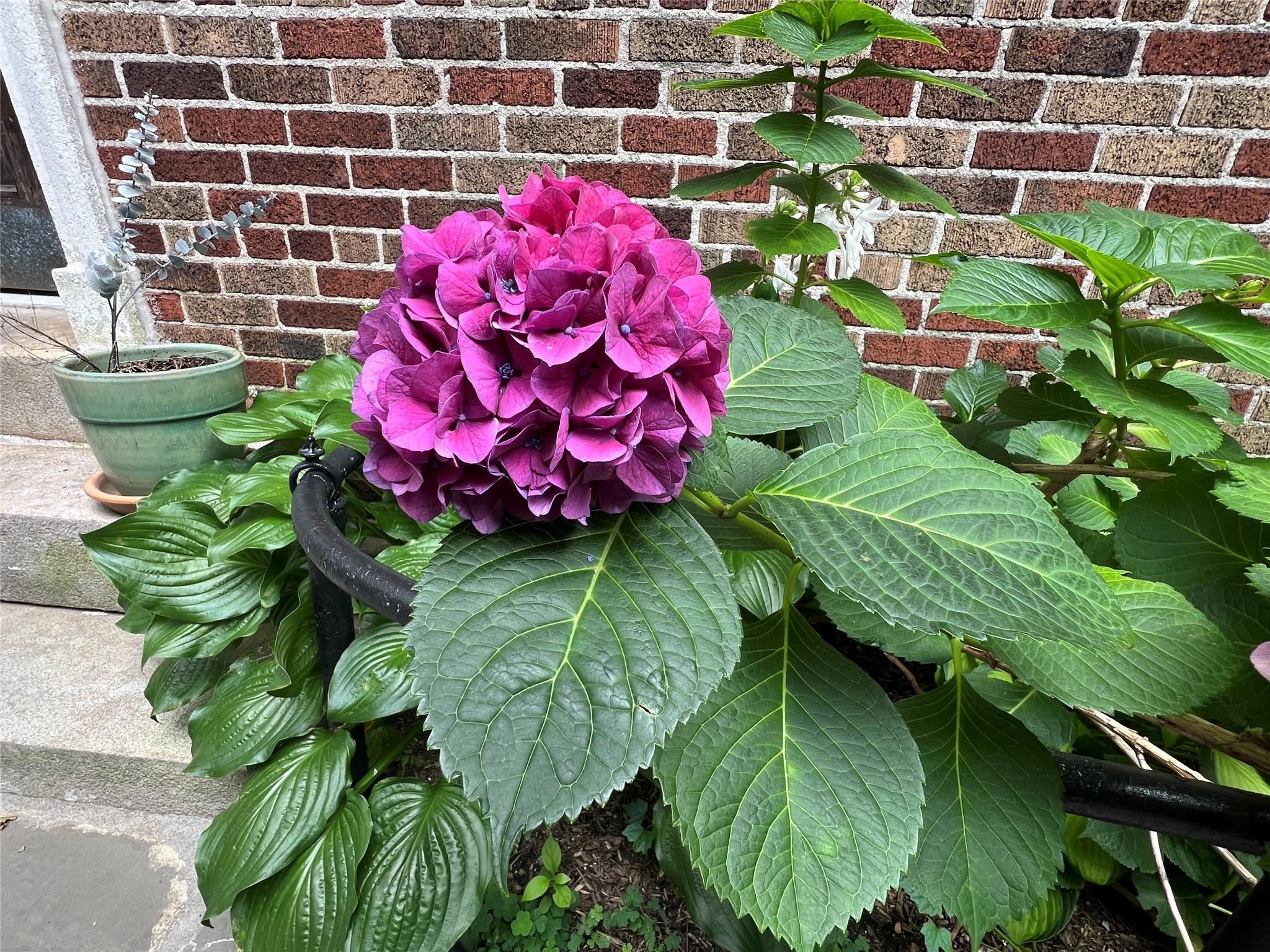 3392 Wayne Avenue # F42, Bronx, NY 10467