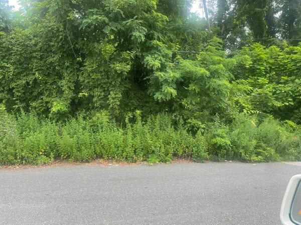 COATES AVE PORTION RD AVE, Lake Ronkonkoma, NY