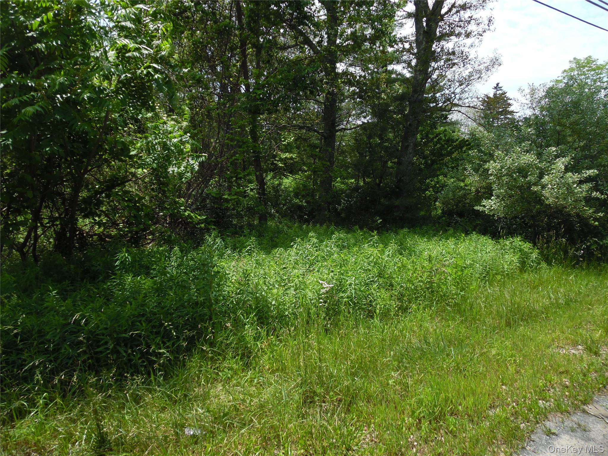 TBD Wurtsboro Mountain Rd, Wurtsboro, NY 12790