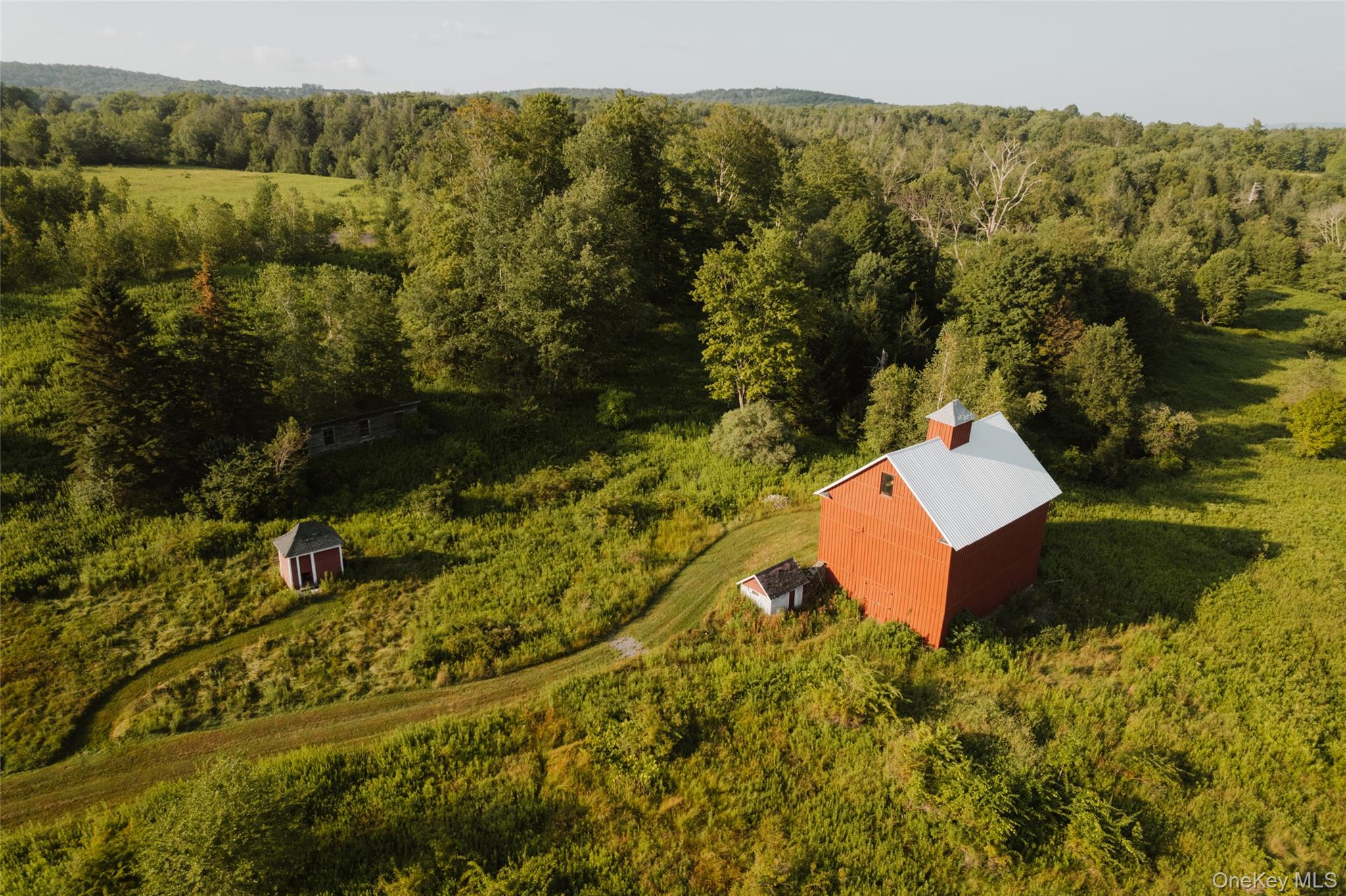 168 Muhlig Road, Liberty, NY 12754