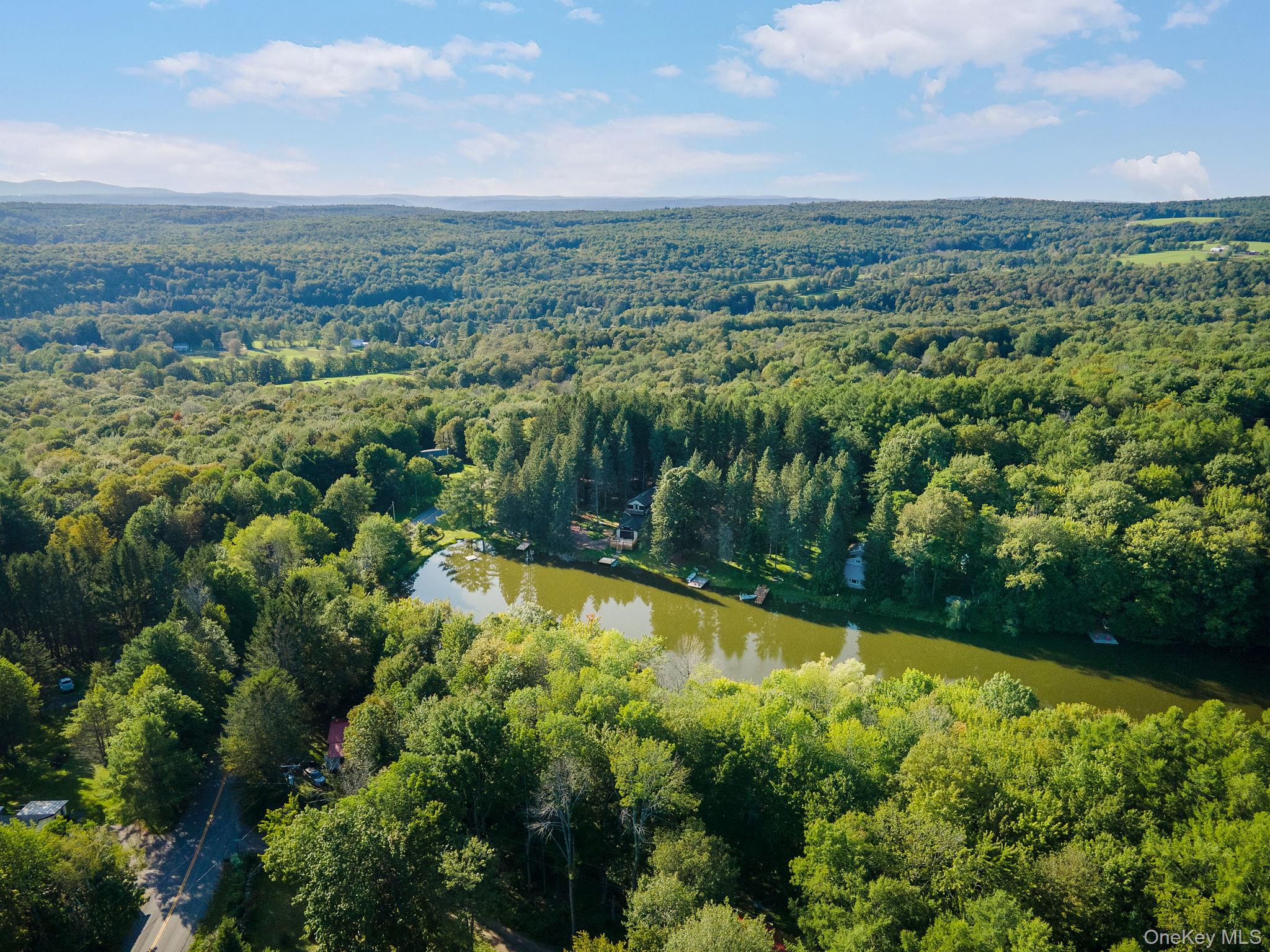 106 Earles Lane, Gilboa, NY 12076