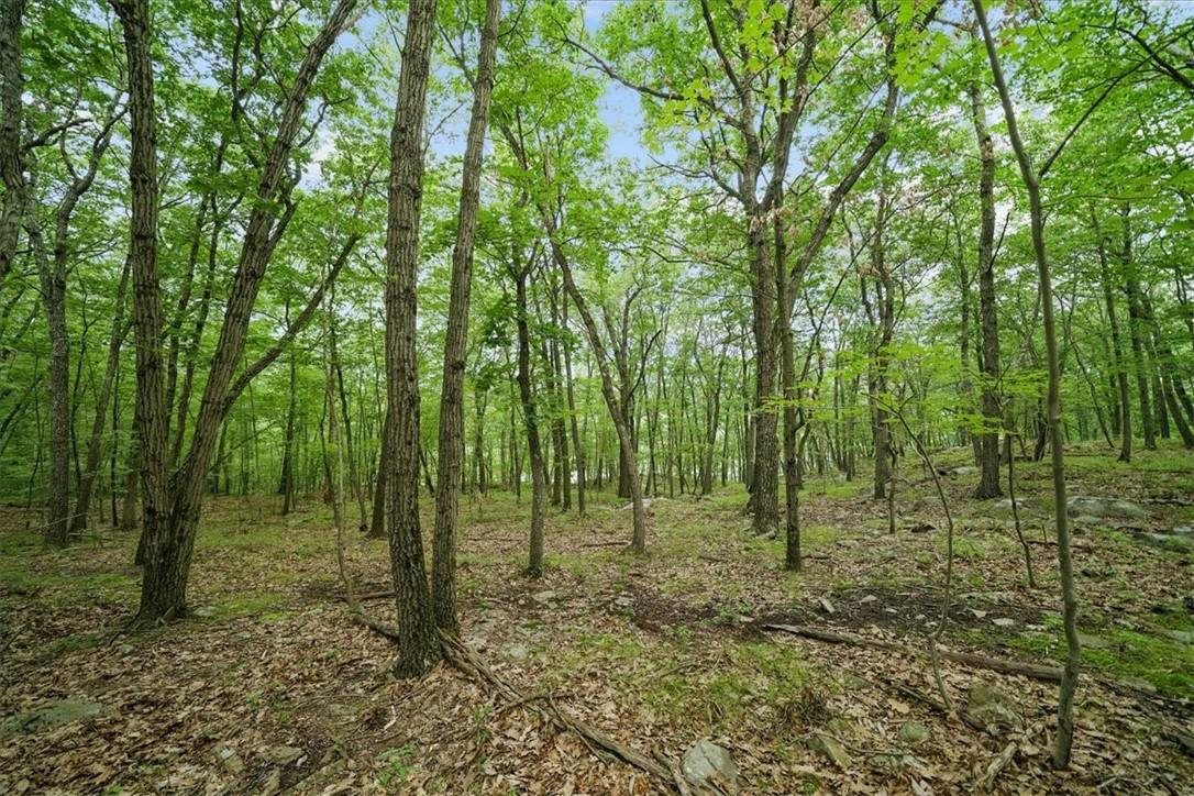 Stag Hill Road, Monroe, NY 10950