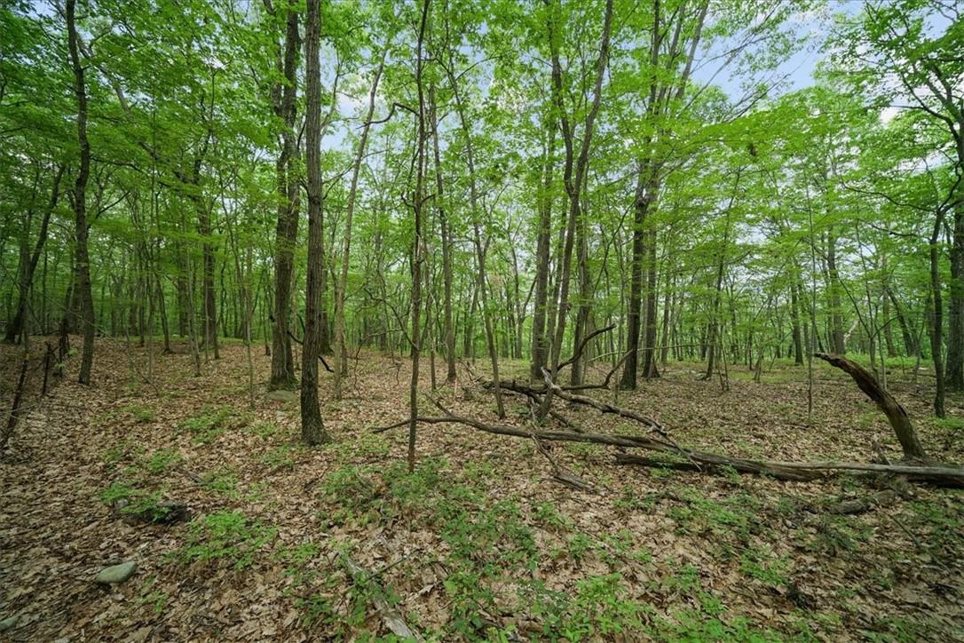 Stag Hill Road, Monroe, NY 10950