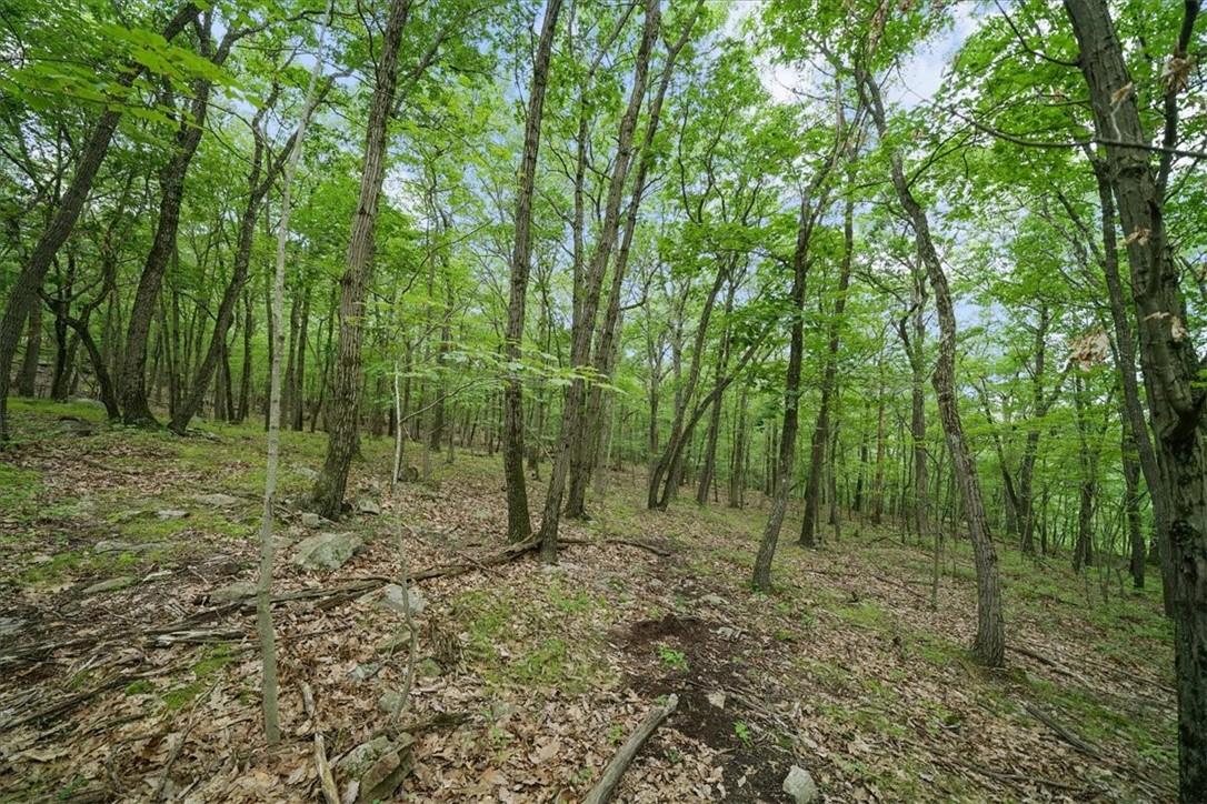 Stag Hill Road, Monroe, NY 10950