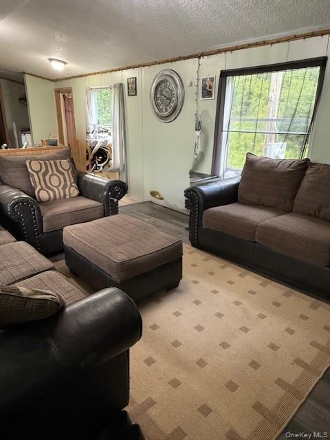 811 Briscoe, Liberty, NY 12783