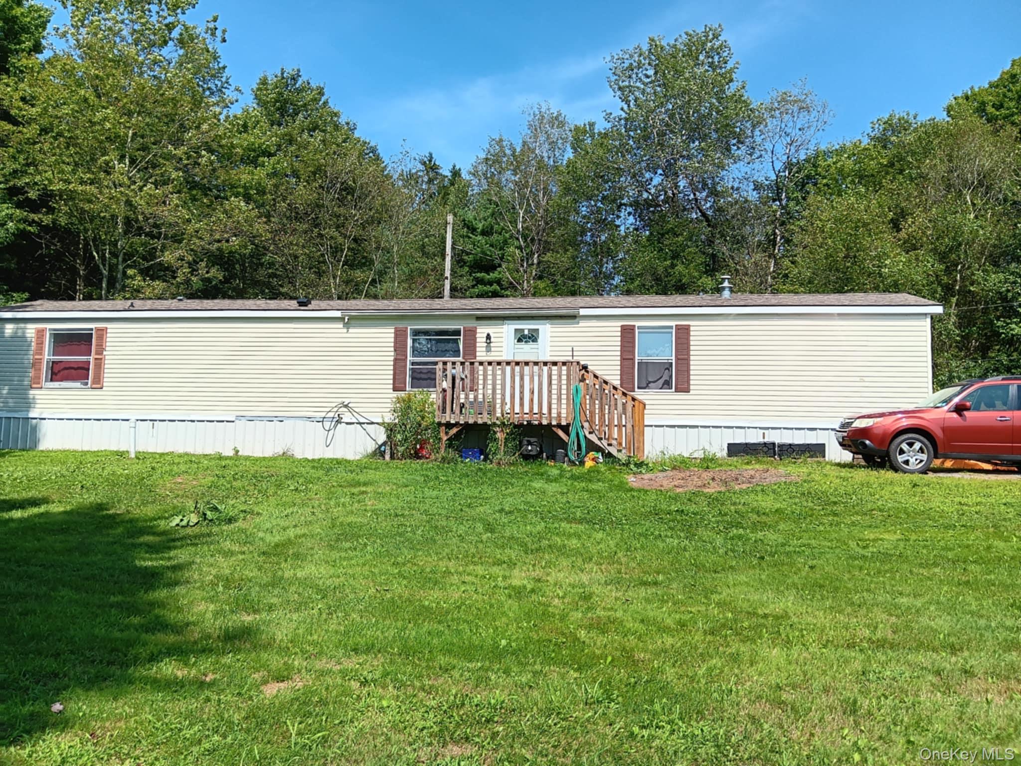 811 Briscoe, Liberty, NY 12783