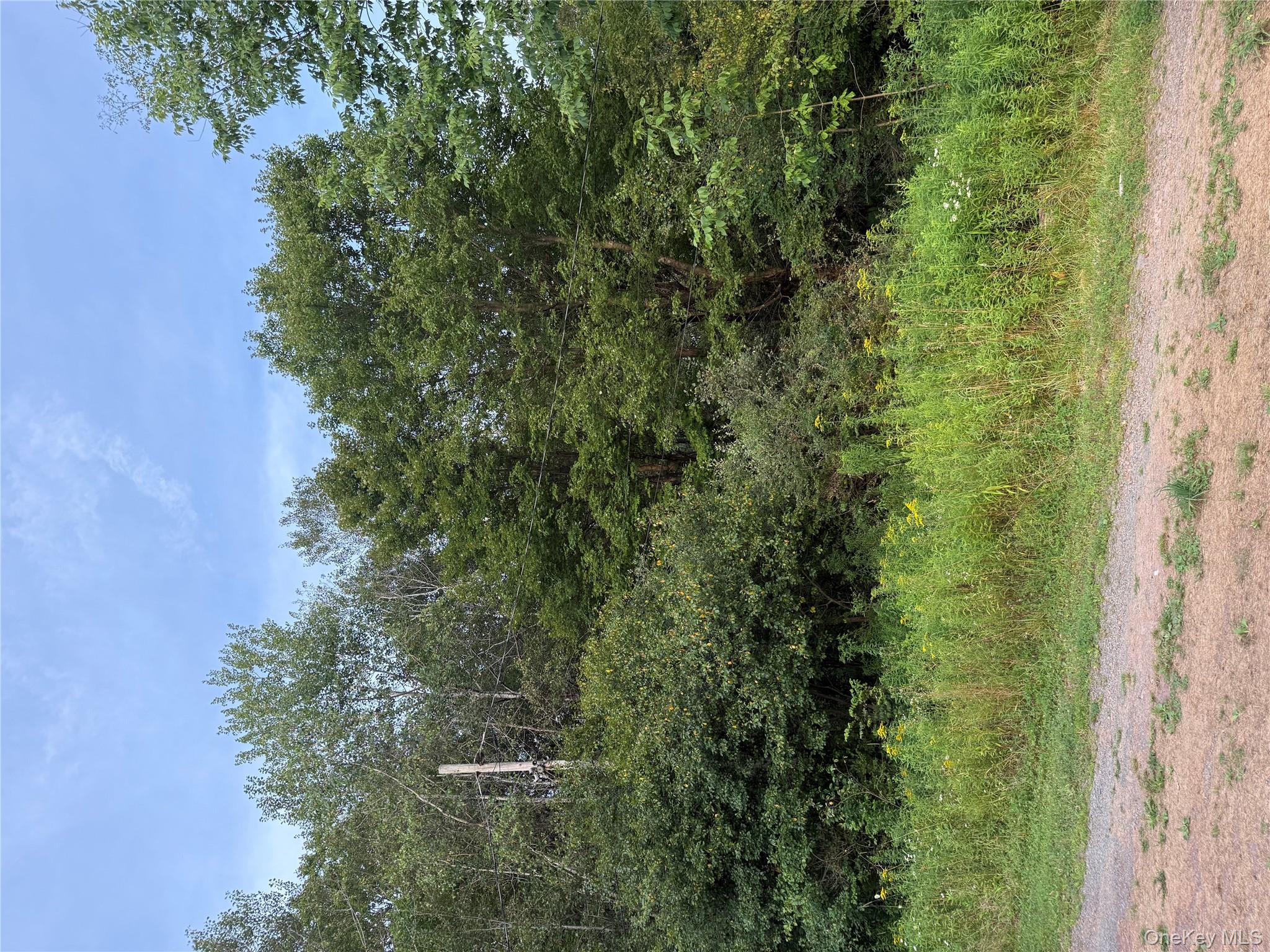 811 Briscoe, Liberty, NY 12783