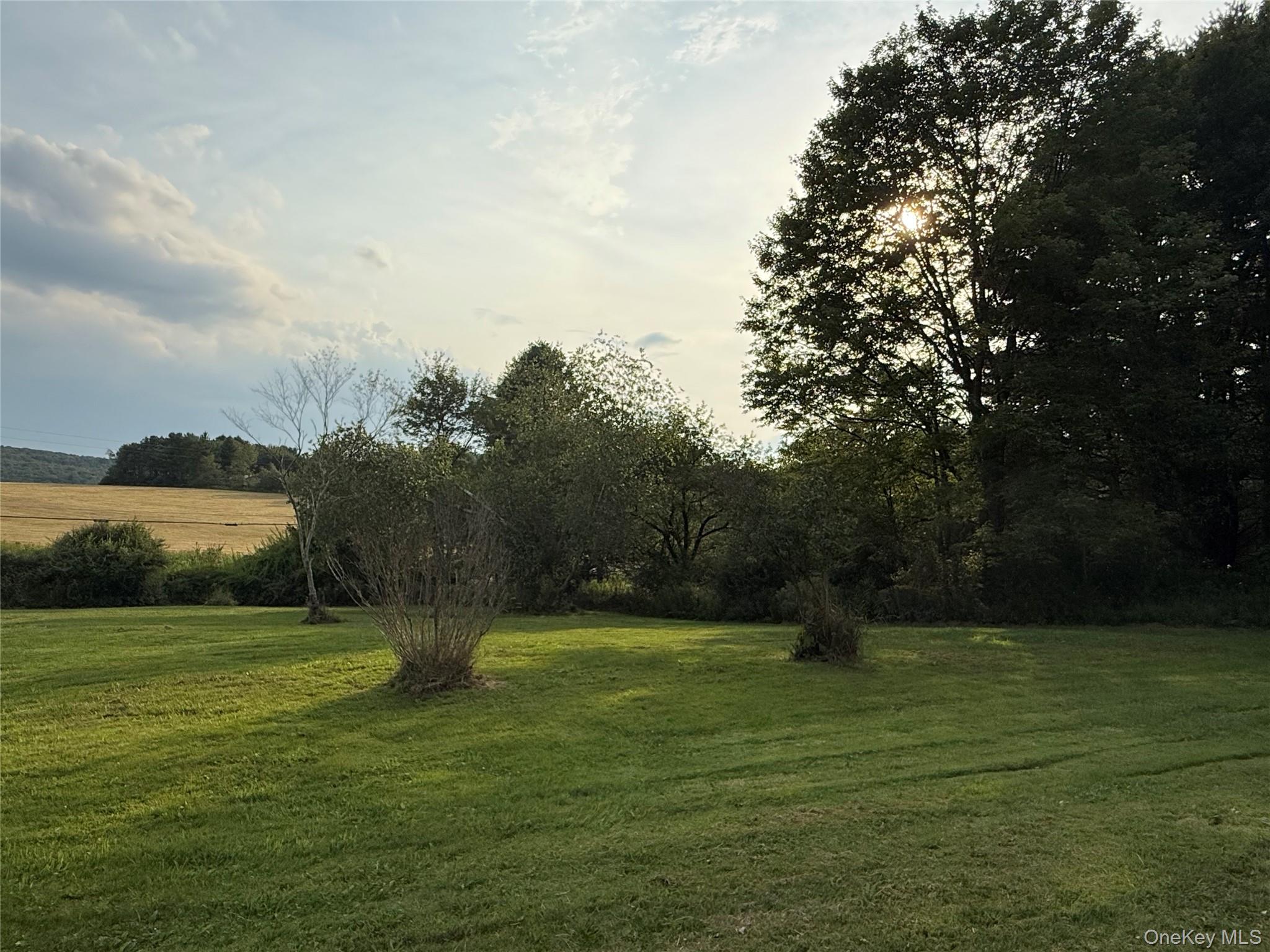 811 Briscoe, Liberty, NY 12783