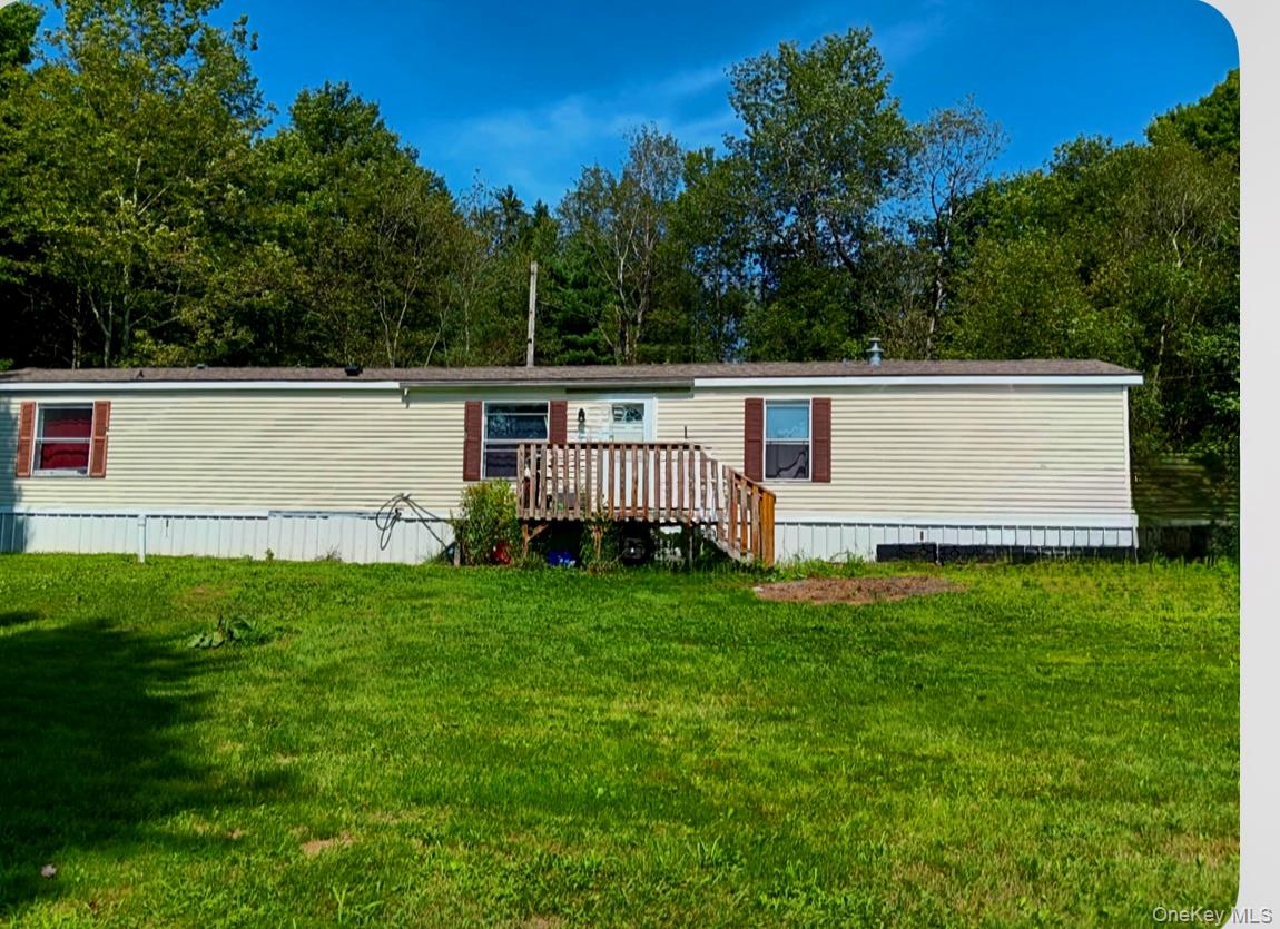 811 Briscoe, Liberty, NY 12783