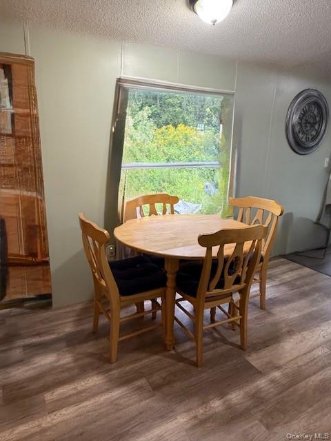 811 Briscoe, Liberty, NY 12783