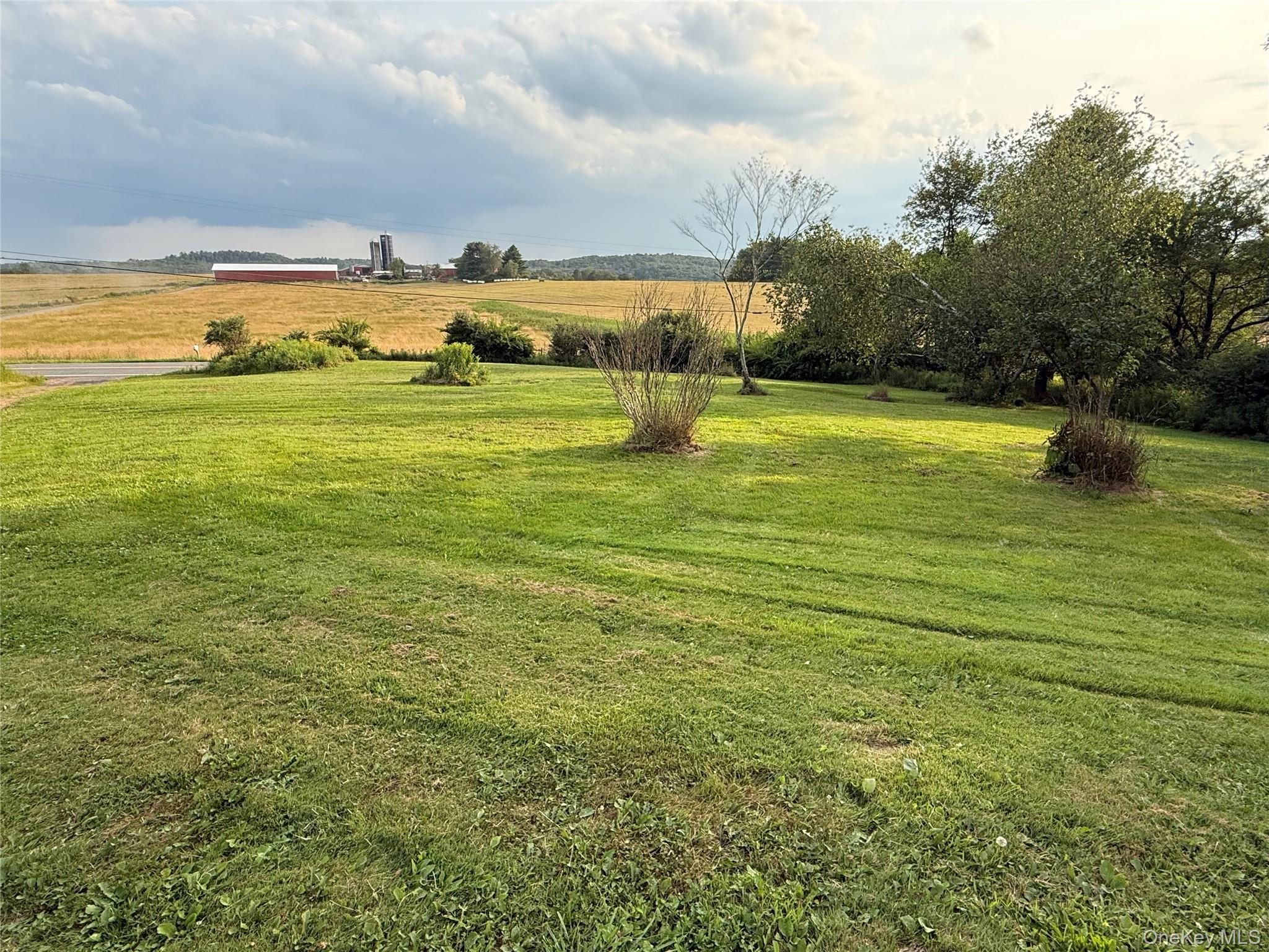 811 Briscoe, Liberty, NY 12783