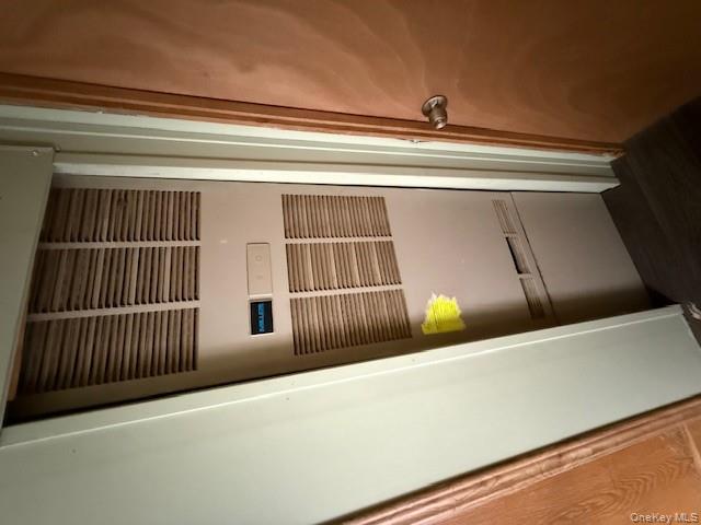 811 Briscoe, Liberty, NY 12783