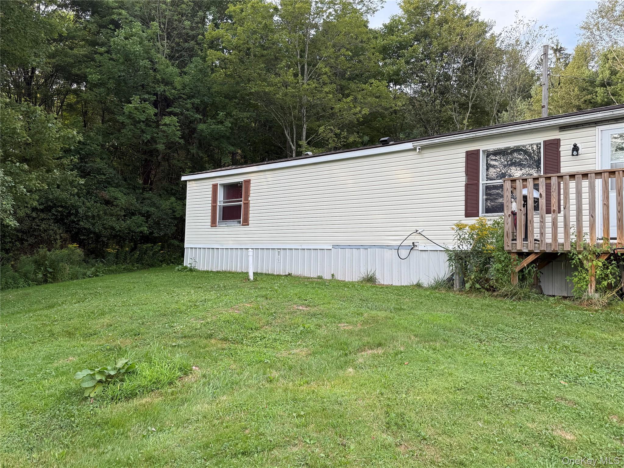 811 Briscoe, Liberty, NY 12783