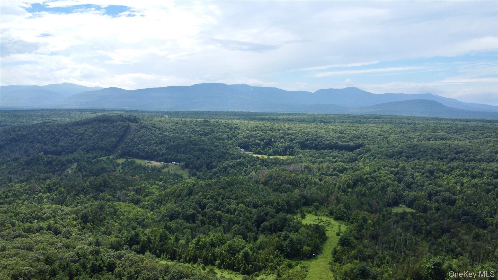 86 Paul Horn Road, Catskill, NY 12414