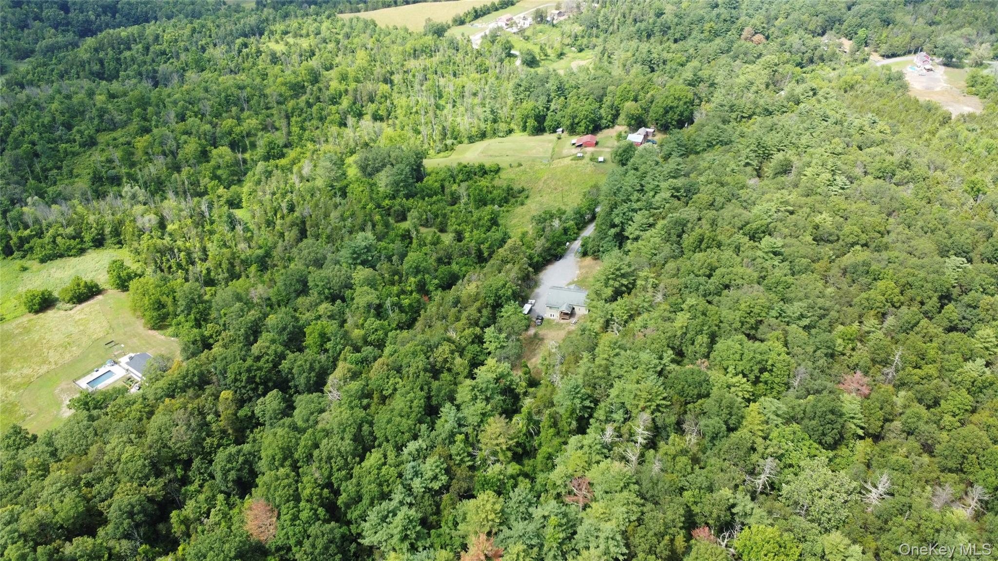 86 Paul Horn Road, Catskill, NY 12414