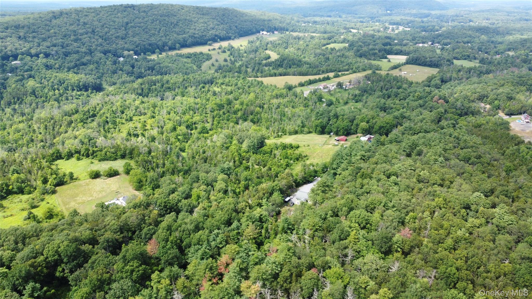 86 Paul Horn Road, Catskill, NY 12414