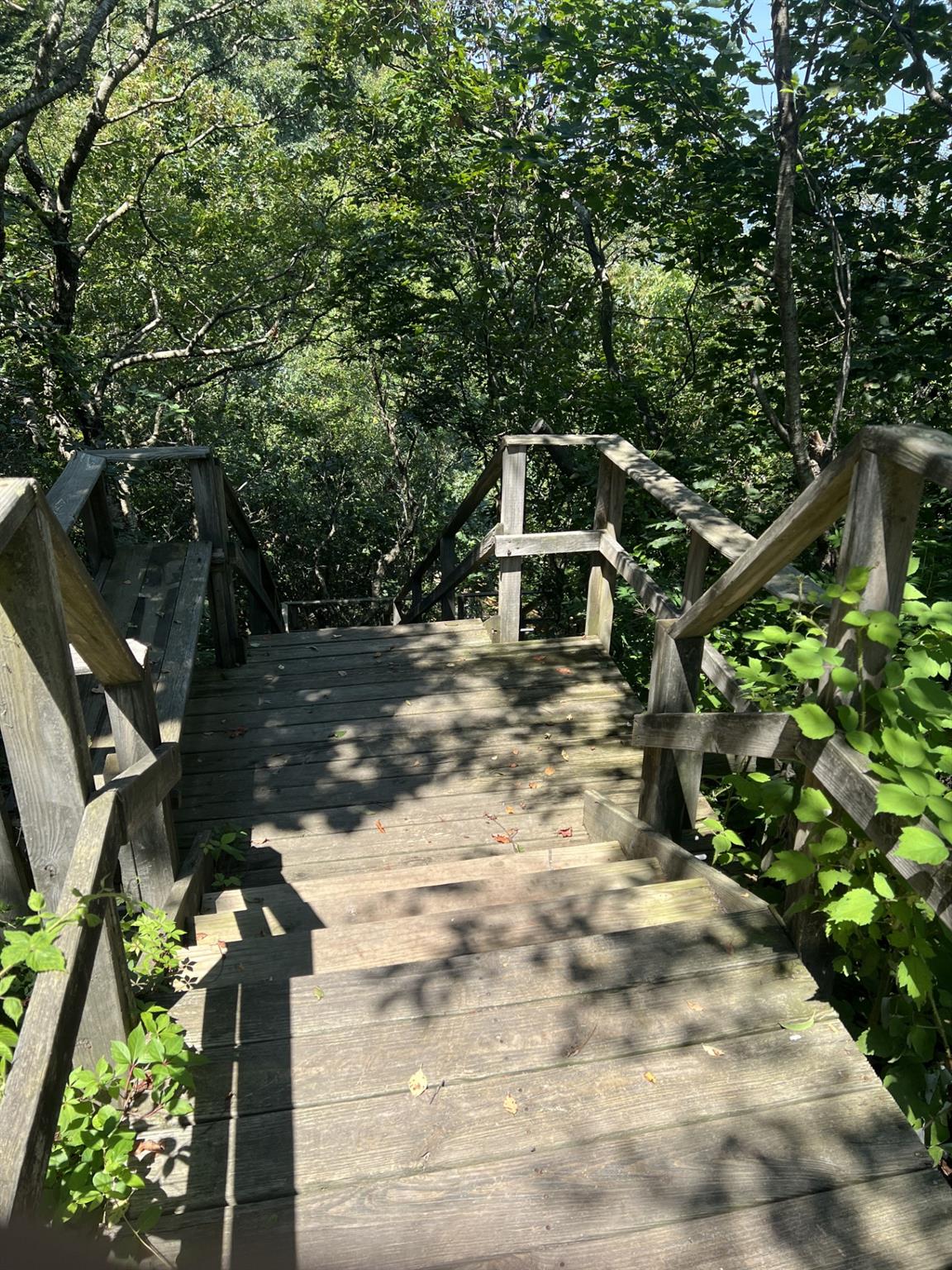 Fern Road, Calverton, NY 11933