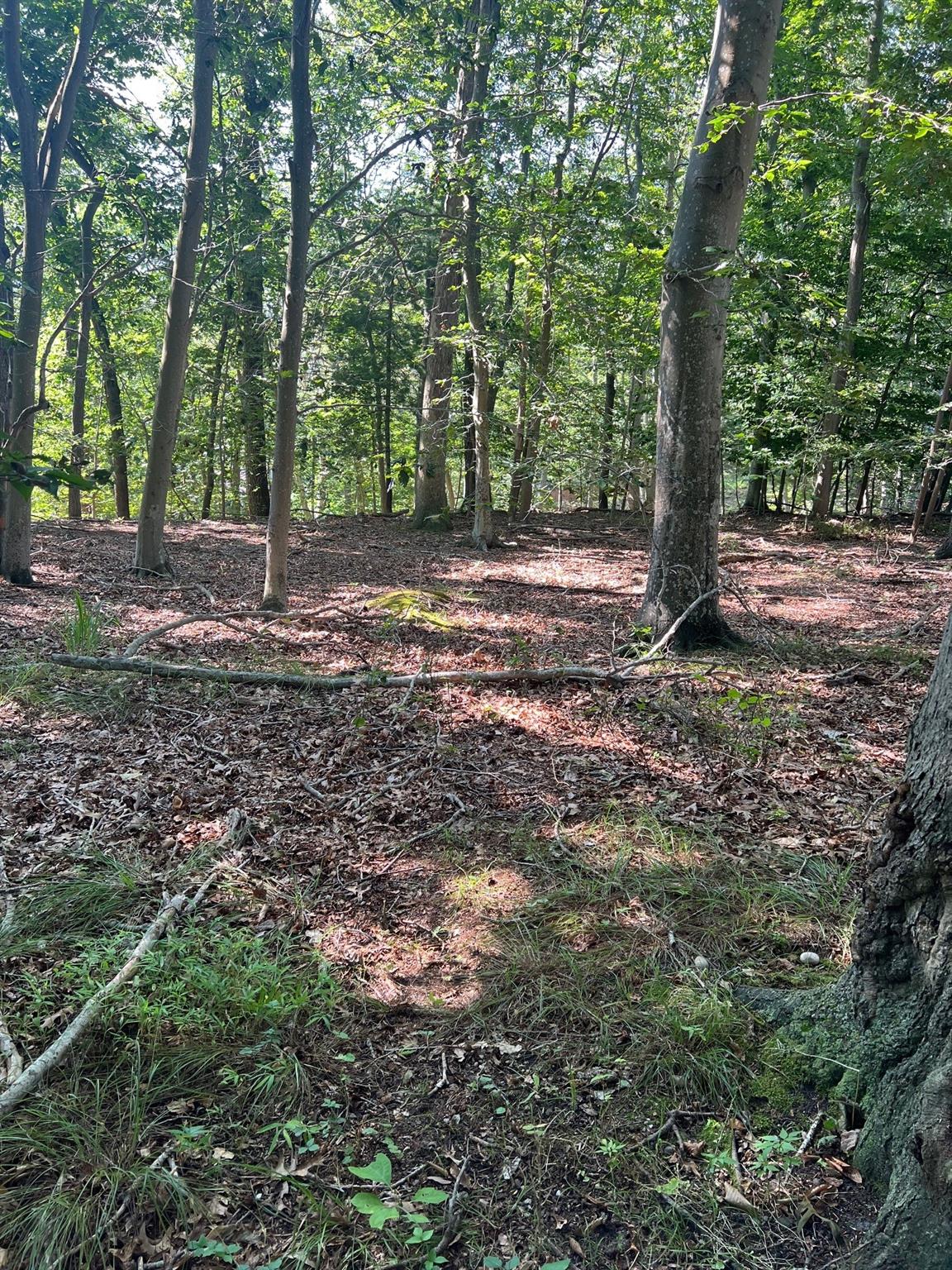 Fern Road, Calverton, NY 11933