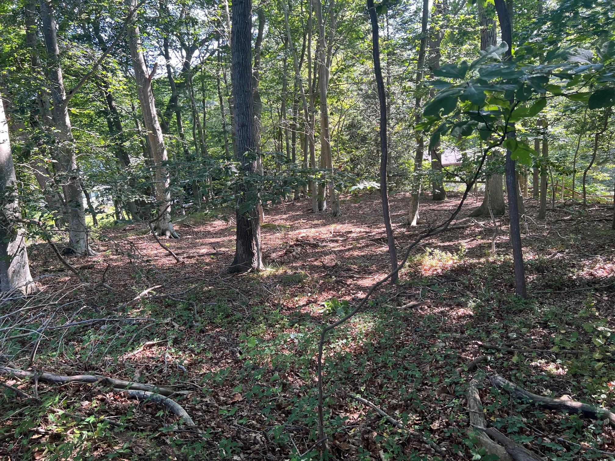 Fern Road, Calverton, NY 11933