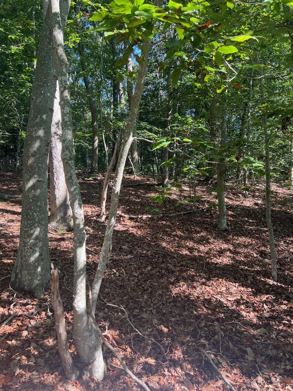 Fern Road, Calverton, NY 11933