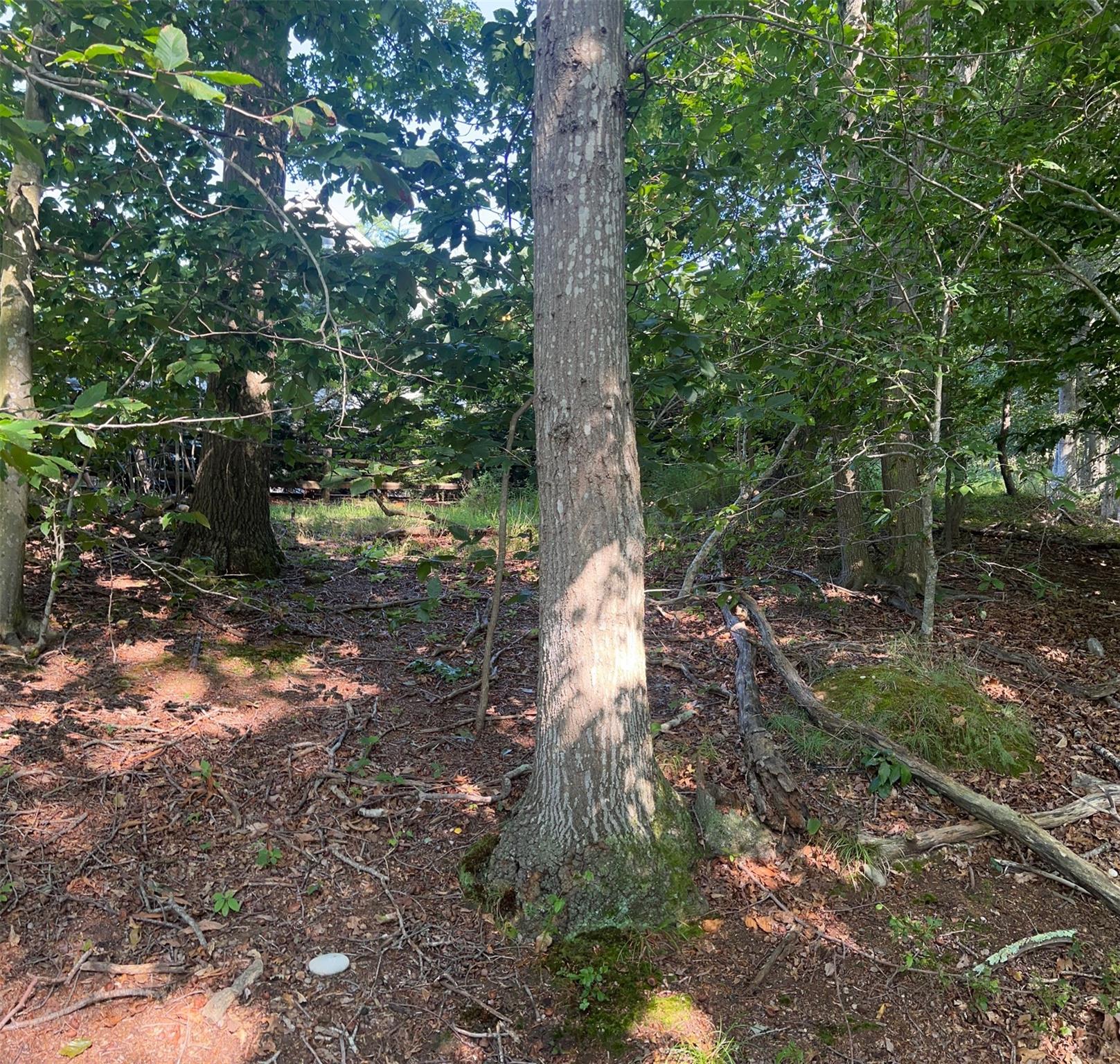 Fern Road, Calverton, NY 11933