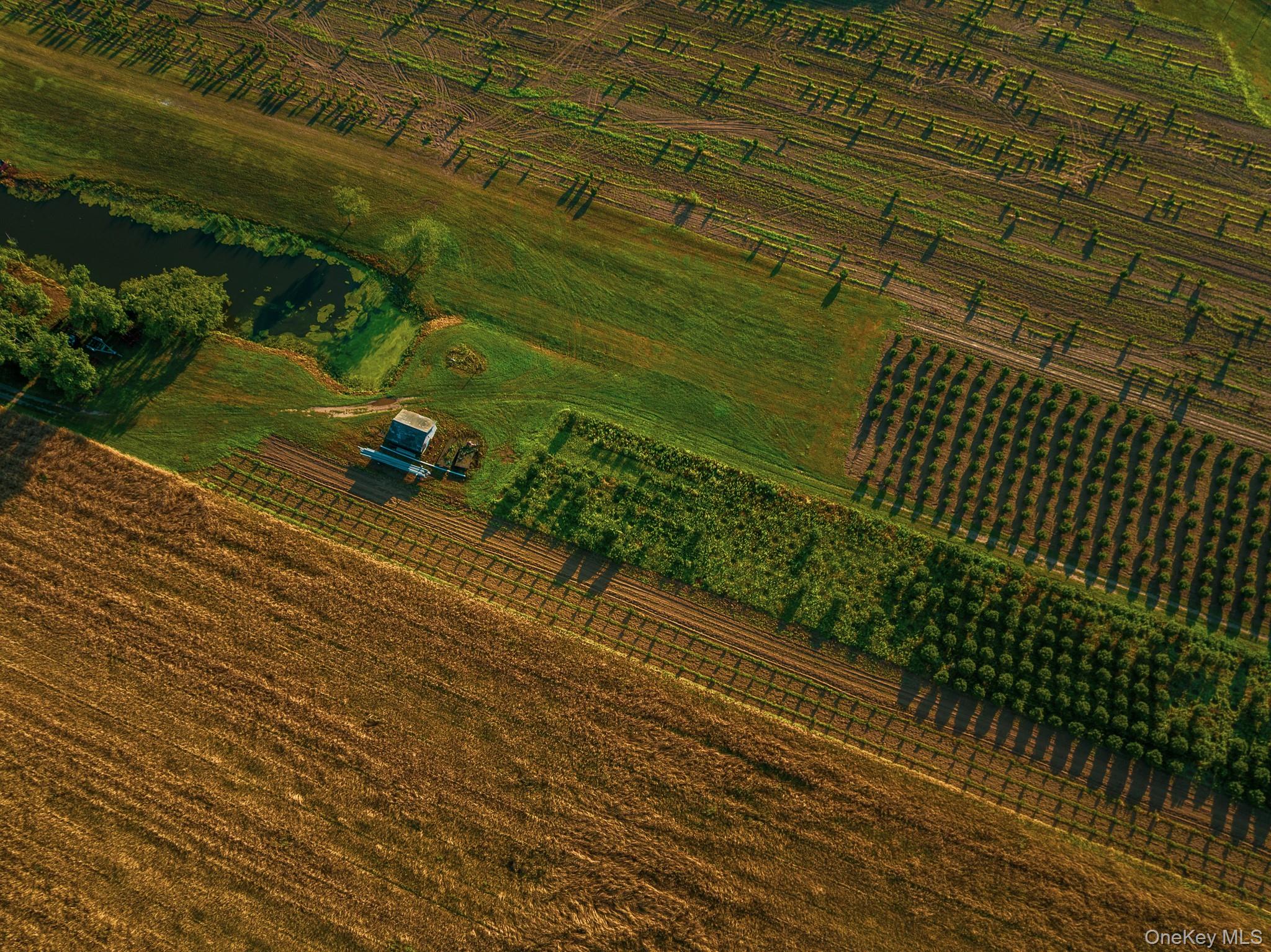 34600, 34750 & 34920 Route 25, Orient, NY 11957