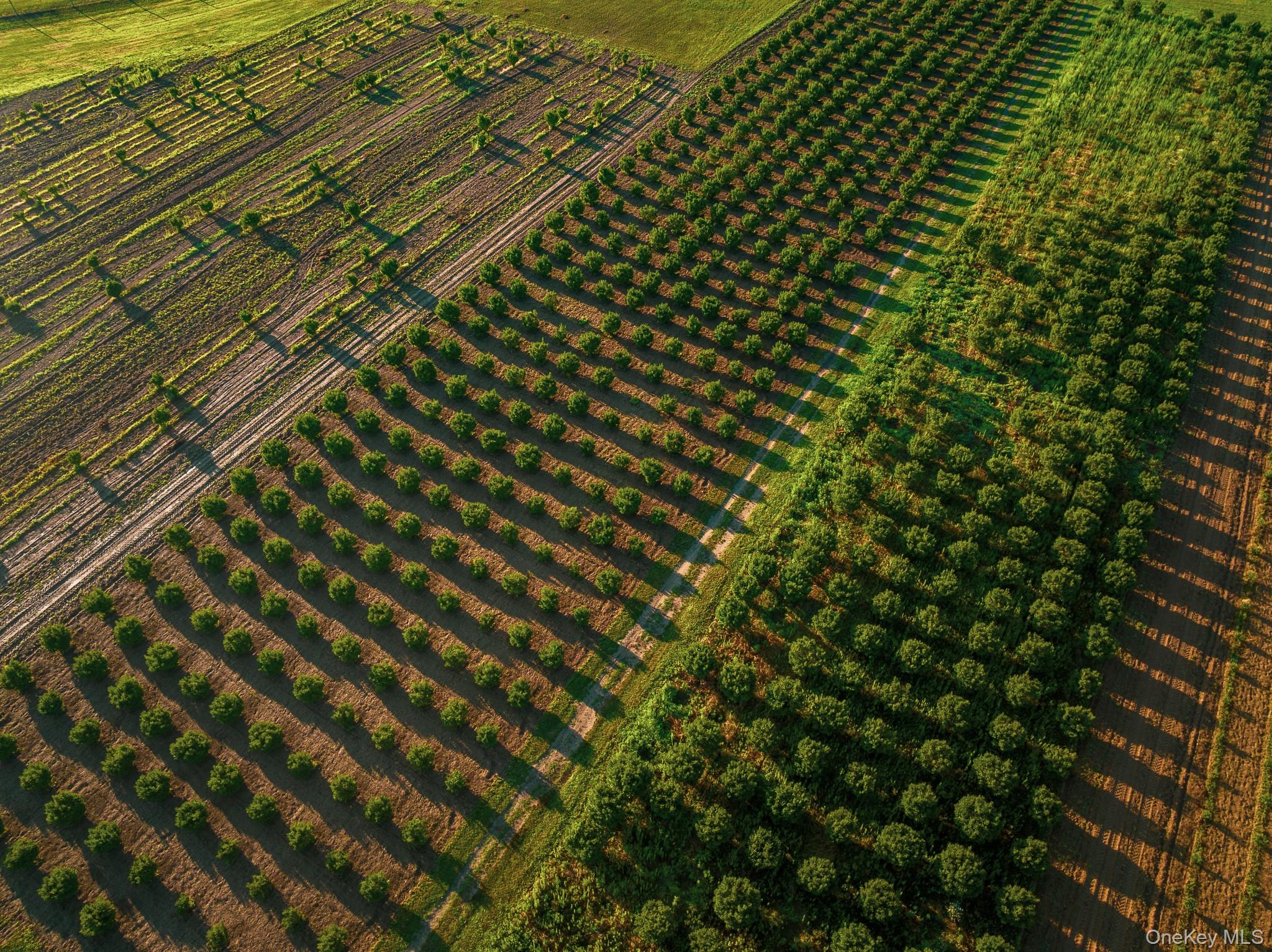 34600, 34750 & 34920 Route 25, Orient, NY 11957